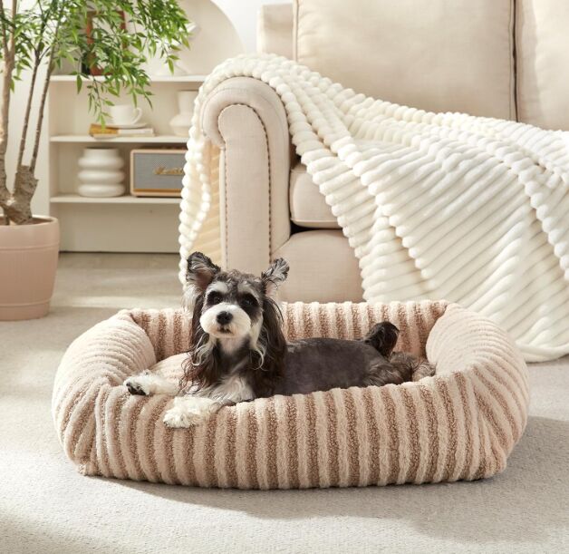5 Chic Pet Beds to Elevate Your Home | PetGuide