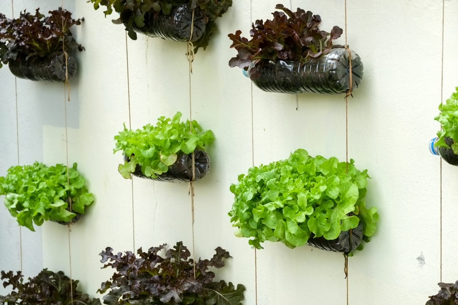 5 Designs for Growing Veggies Vertically – One Green Planet