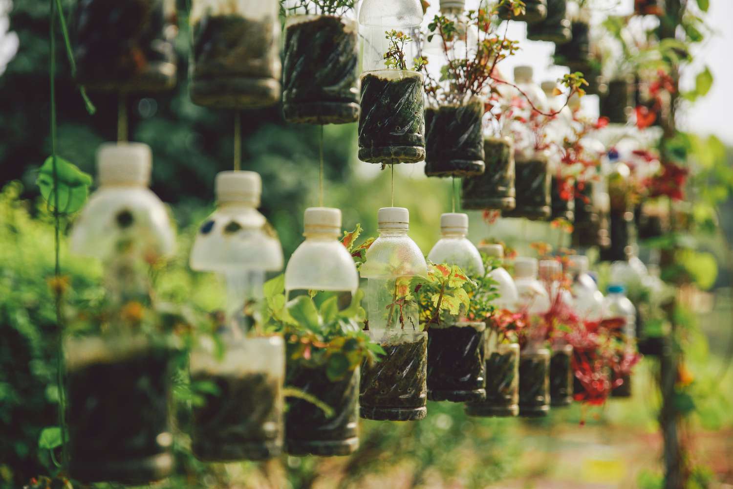 5 Ideas for Simple DIY Vertical Gardens in Small Spaces