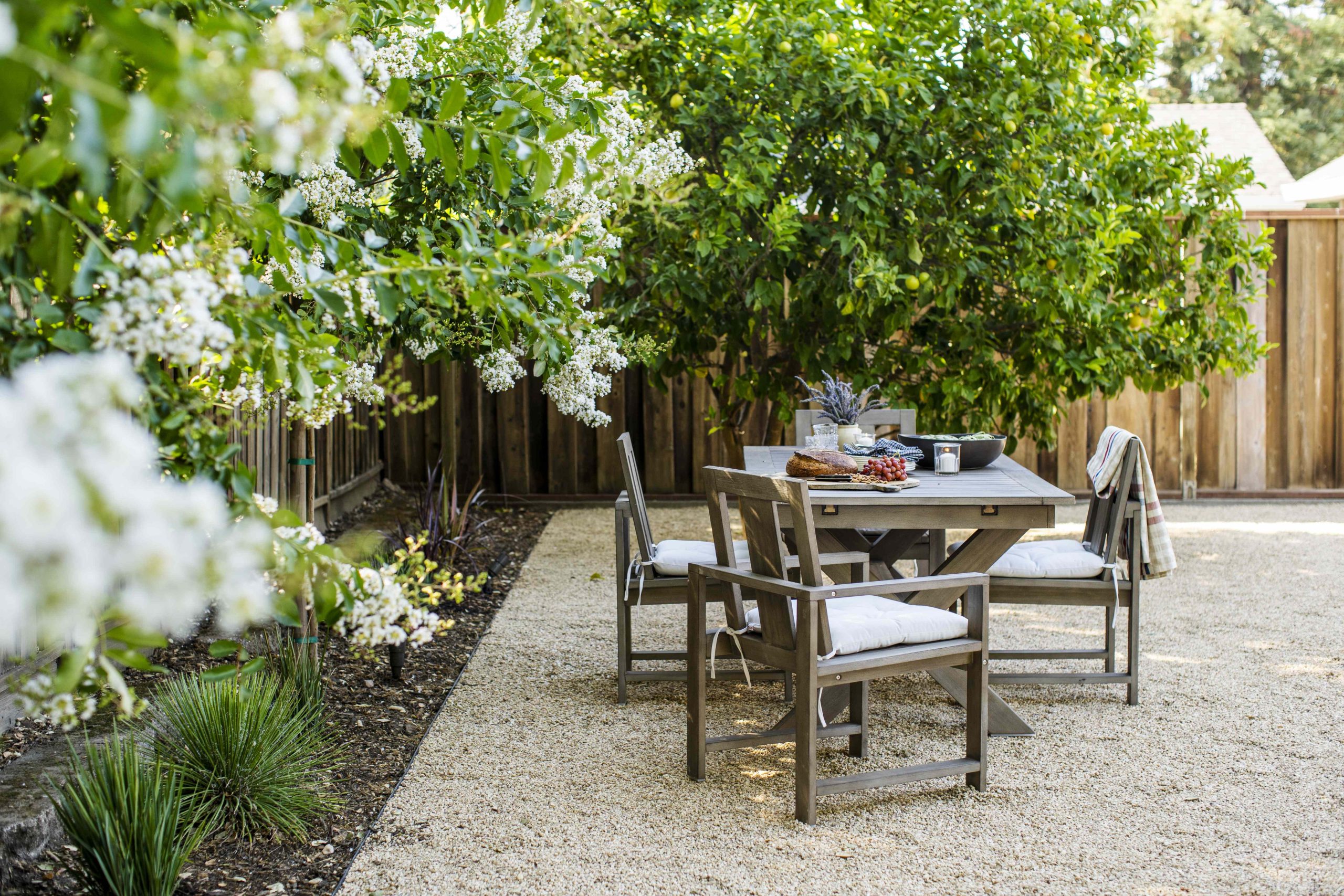 6 Budget-Friendly Backyard Privacy Tricks Designers Always Recommend