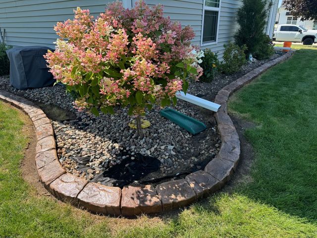 6 Tree Ring Edging Ideas for Wisconsin Yards