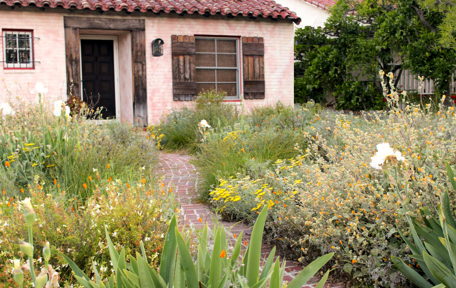 7 Incredible Lawn-Free Frontyards for Southern California – California Wild Gardens