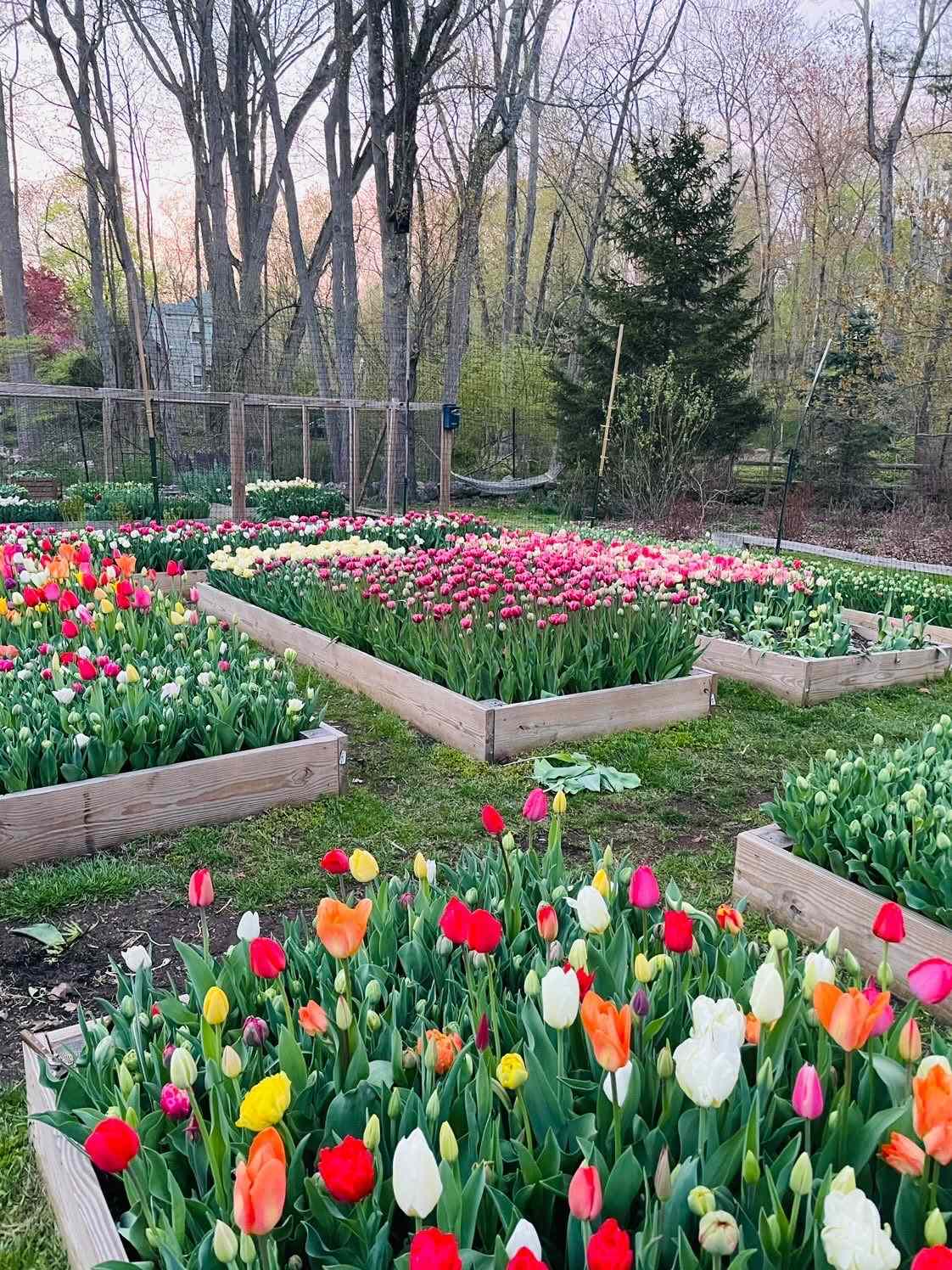 8 Genius DIY Raised Garden Bed Ideas