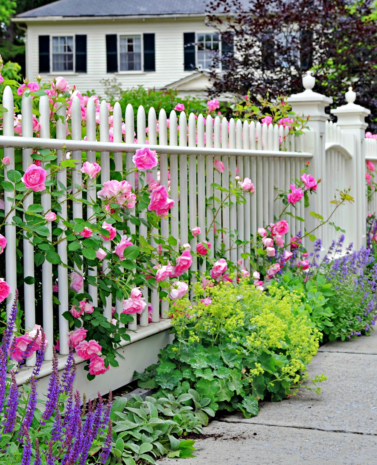 9 Beautiful and Charming Garden Gate Ideas for Your Yard - Town & Country Living