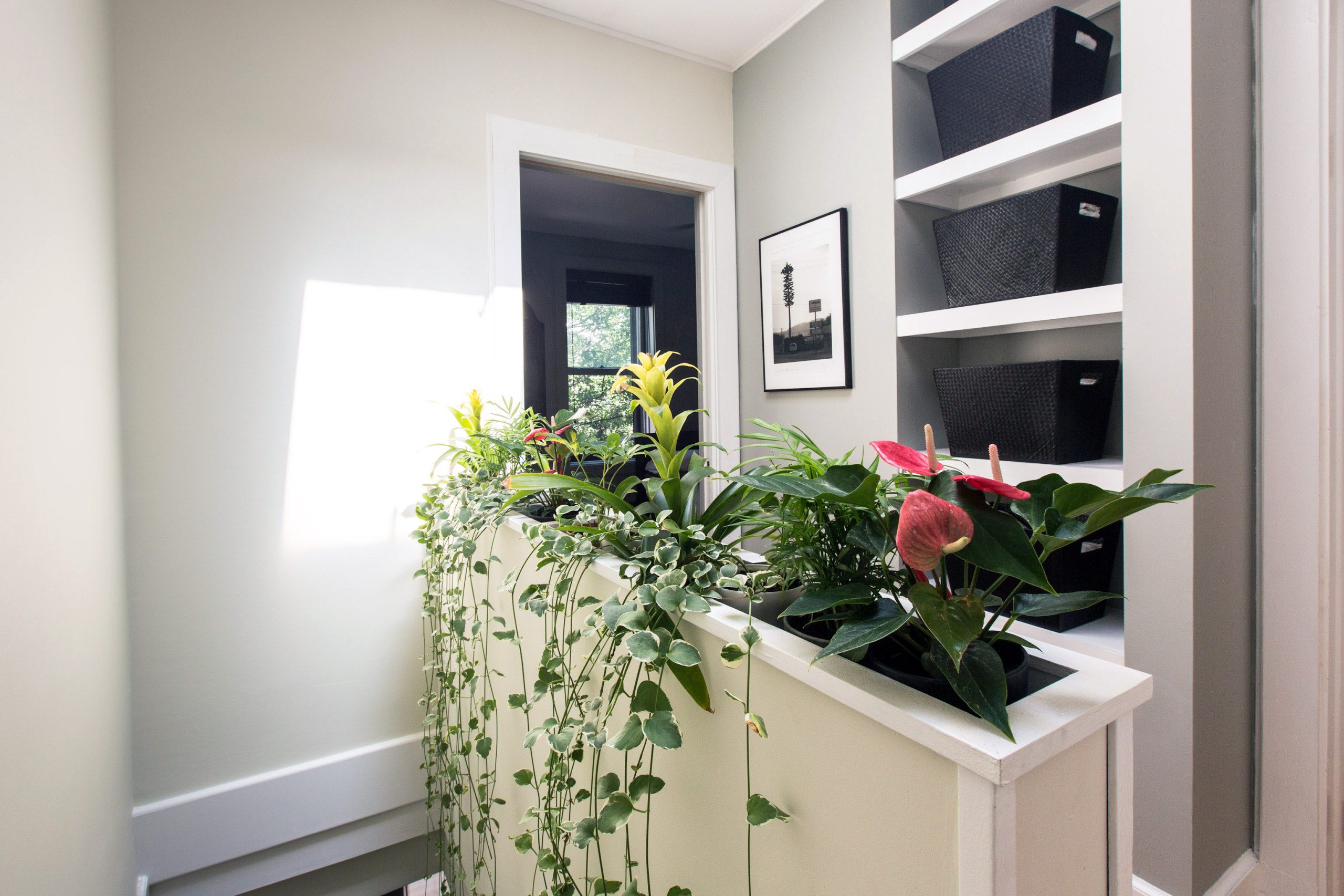 9 Built-In Indoor Planter Boxes and Their Perfect Perennial Pairs | Houzz AU