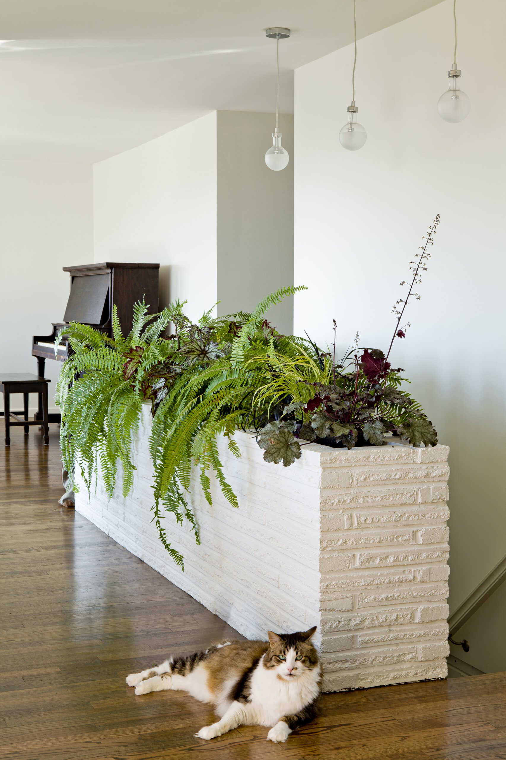 9 Built-In Indoor Planter Boxes and Their Perfect Perennial Pairs | Houzz AU