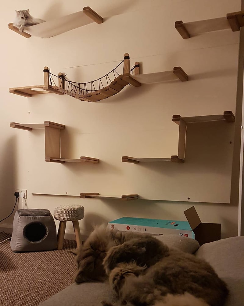 9 Creative Cat Rooms to Inspire Your Inner Designer | Chewy
