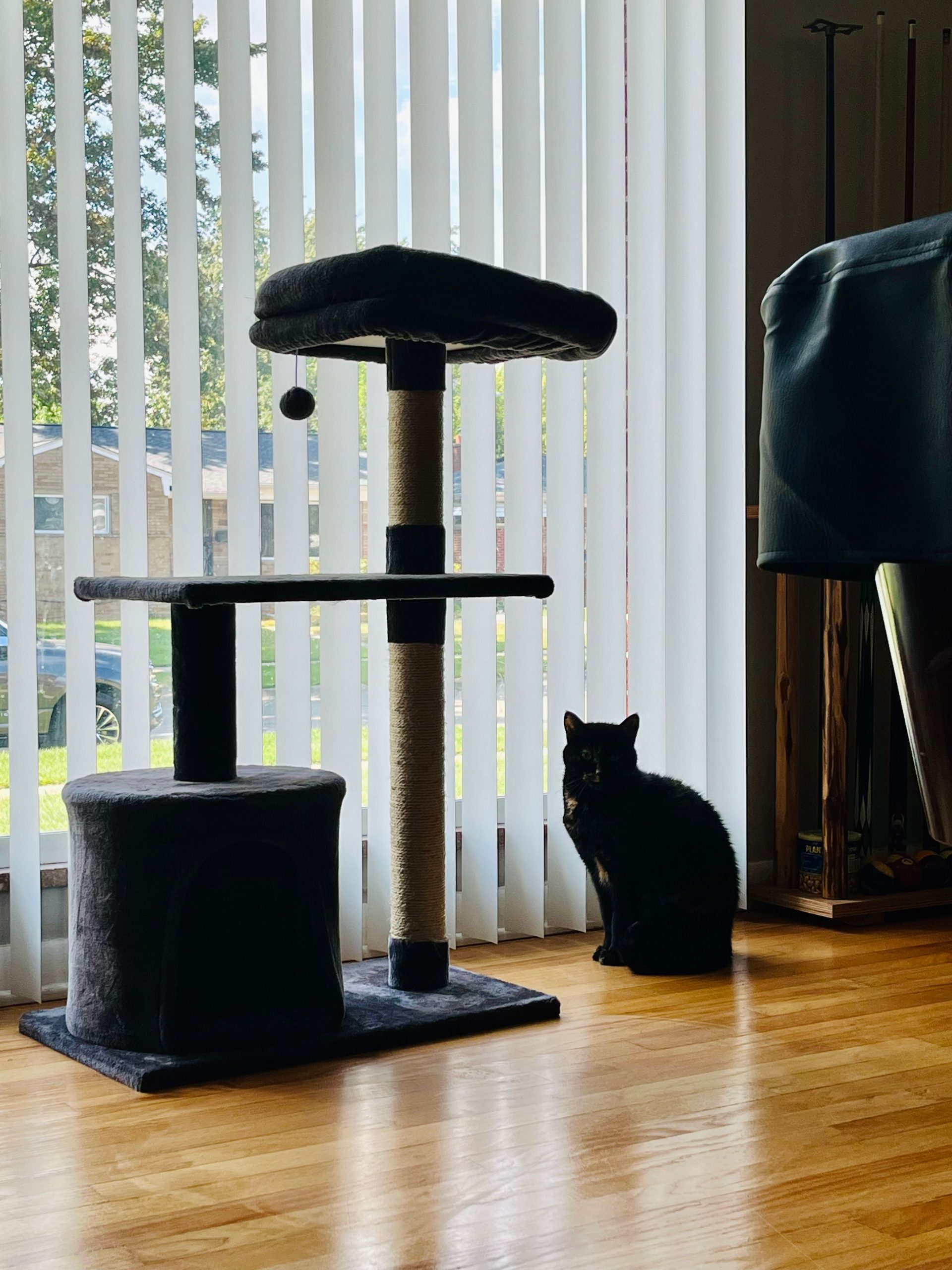 A black cat sits beside a modern cat tree by a window with vertical blinds.