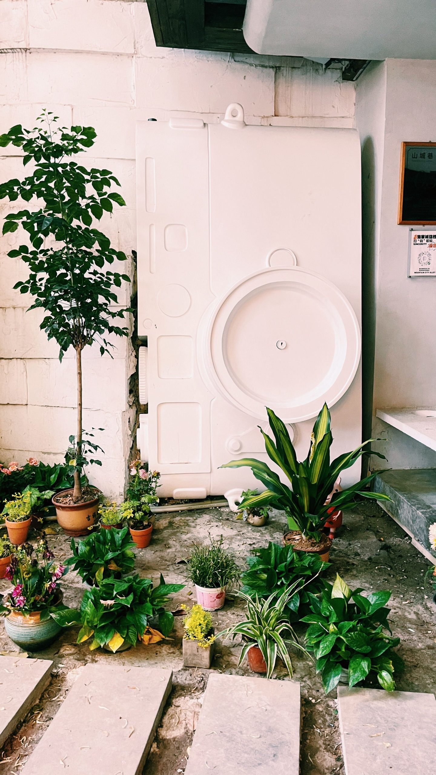 A charming indoor garden with a variety of vibrant potted plants against a white wall.
