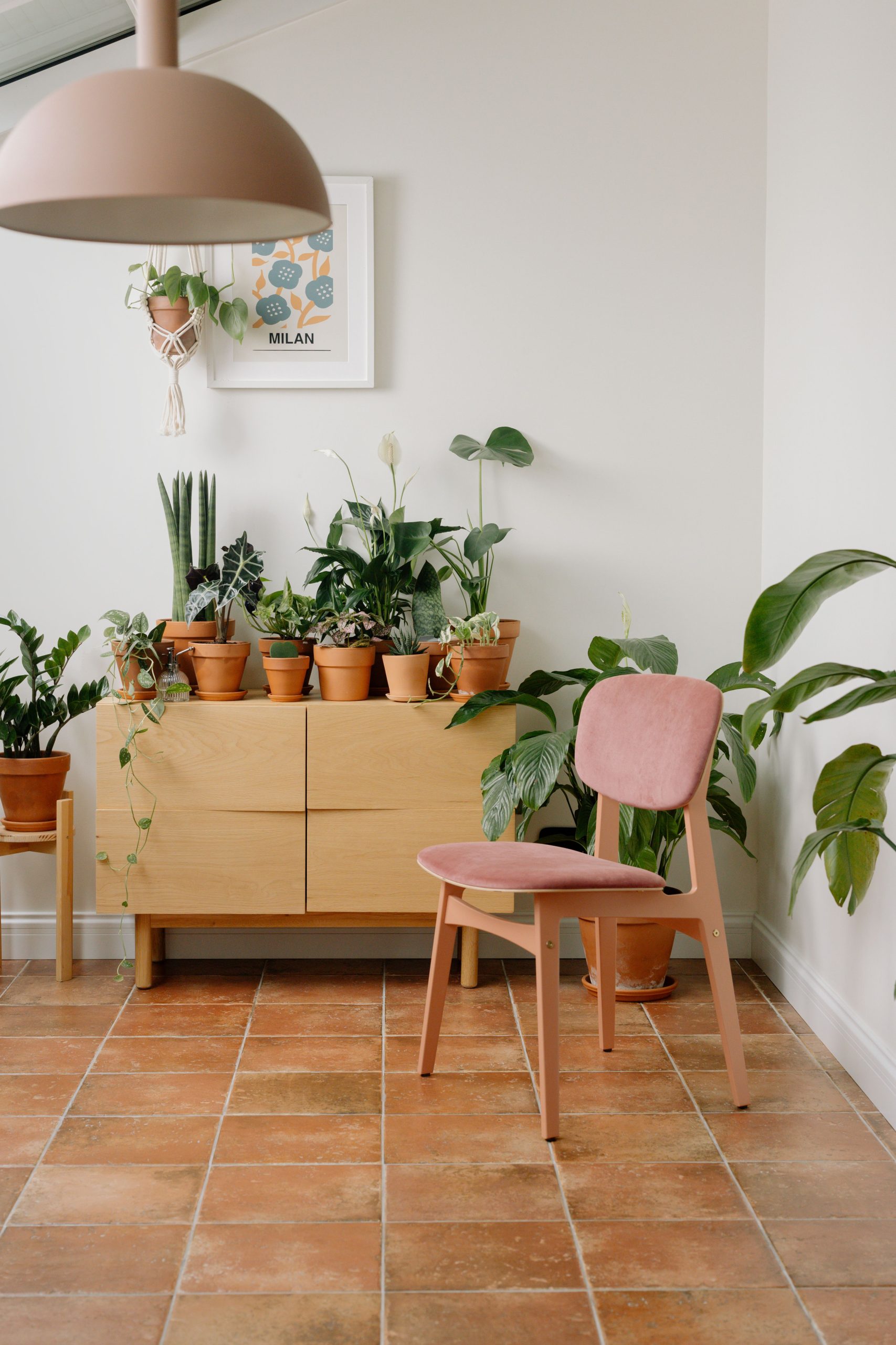 A cozy indoor setting featuring a pink chair and diverse houseplants on a terracotta floor.