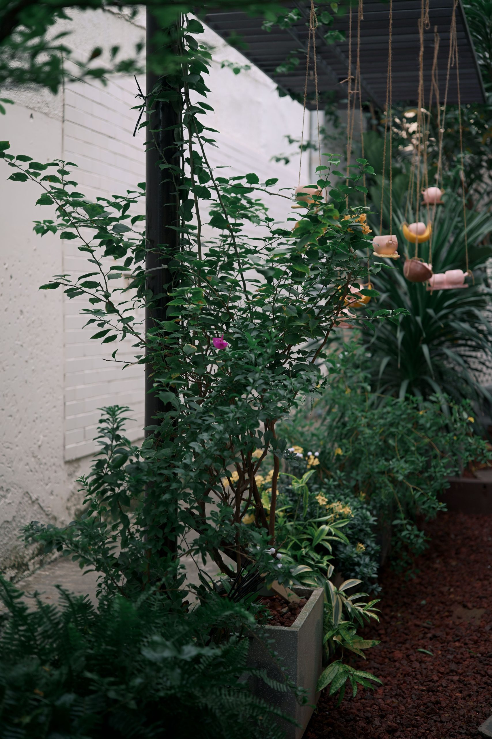A lush garden with hanging planters and various plants in an urban setting.