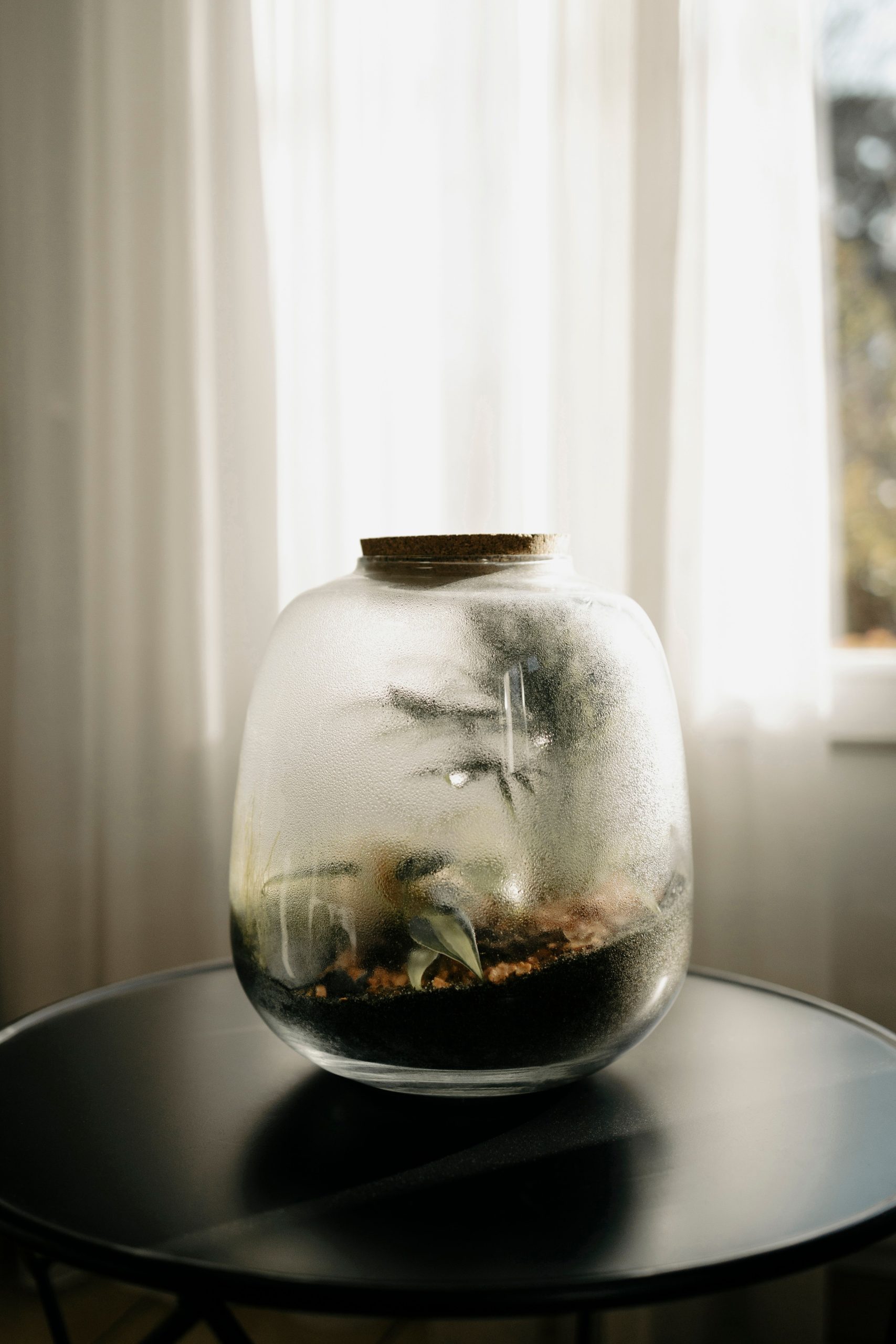 A minimalist glass terrarium showcasing plant life, placed indoors with soft natural lighting.