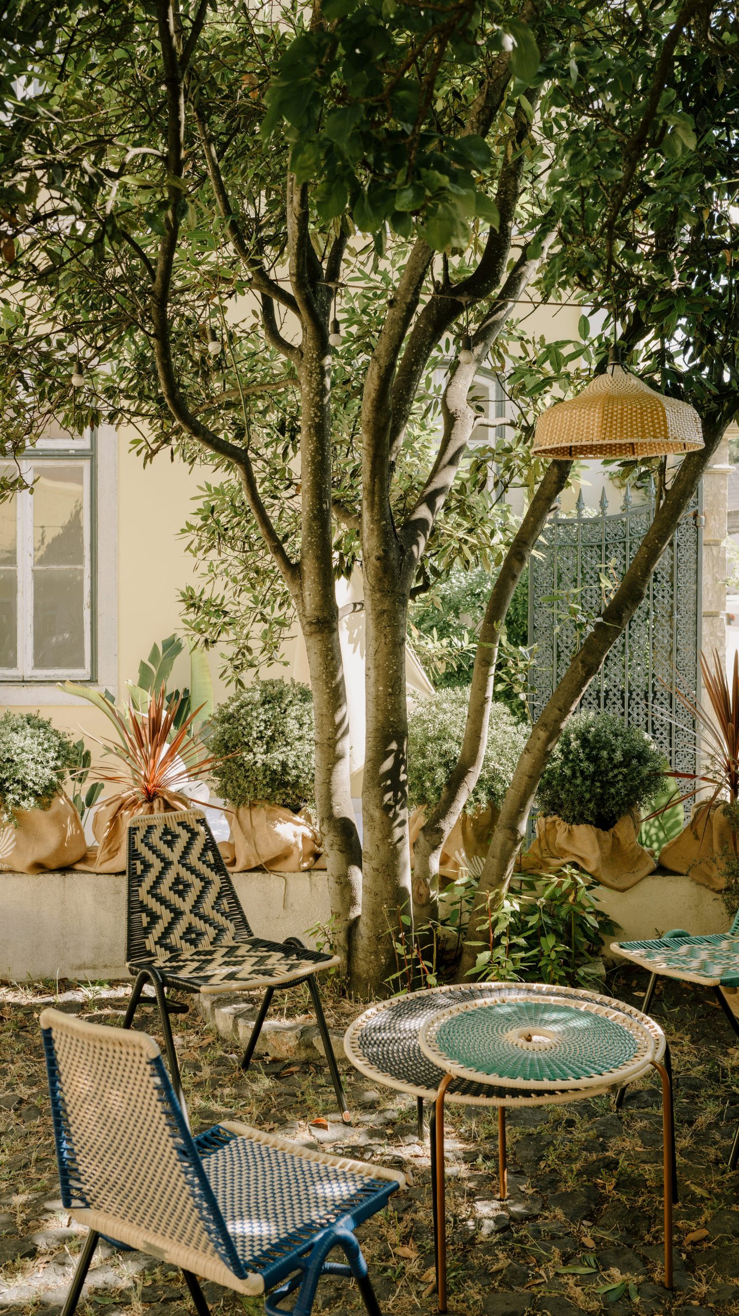 A peaceful outdoor seating area under a tree. photo – Free Green Image on Unsplash