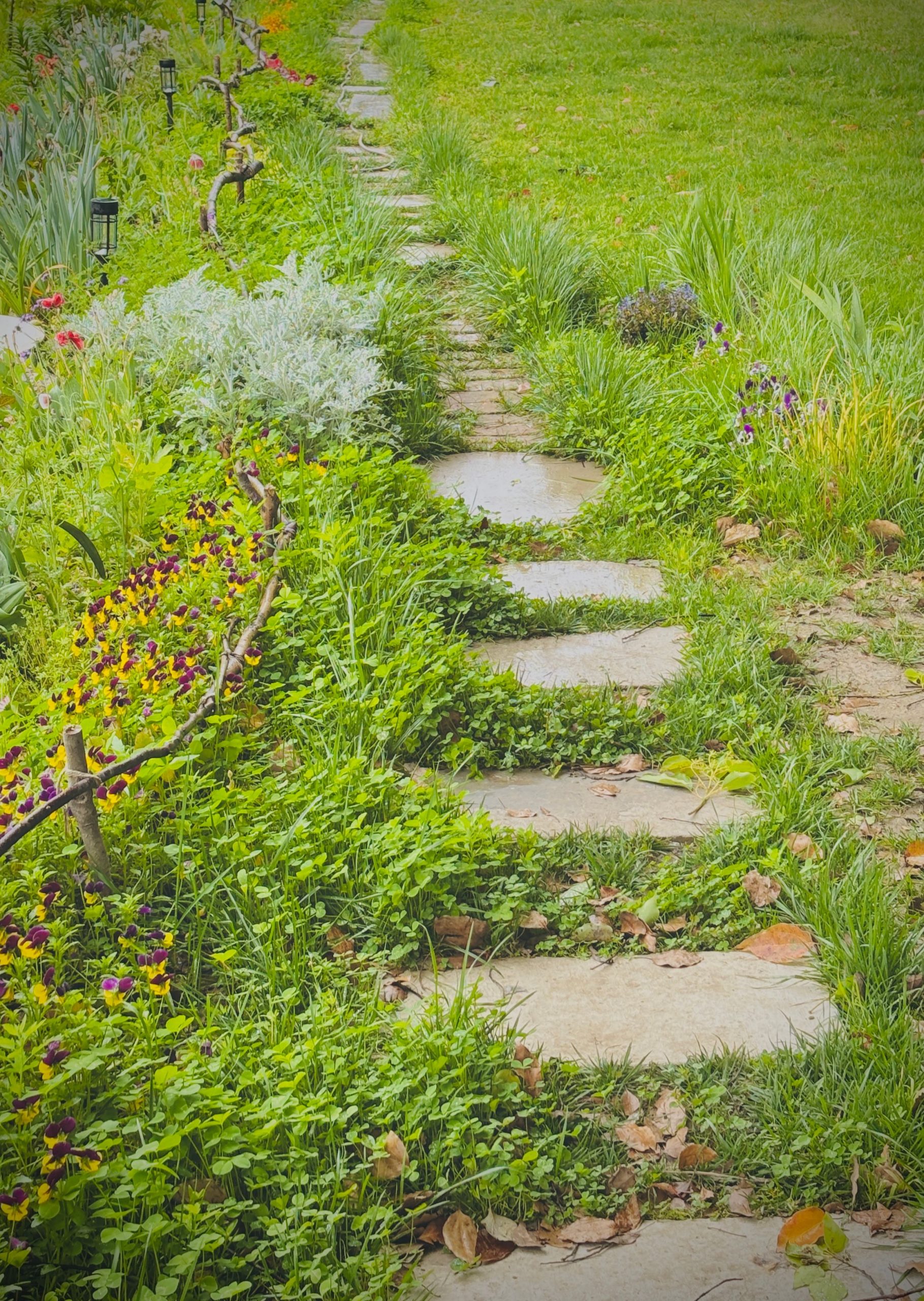 A picturesque stone pathway winds through a vibrant garden with an array of colorful flowers.