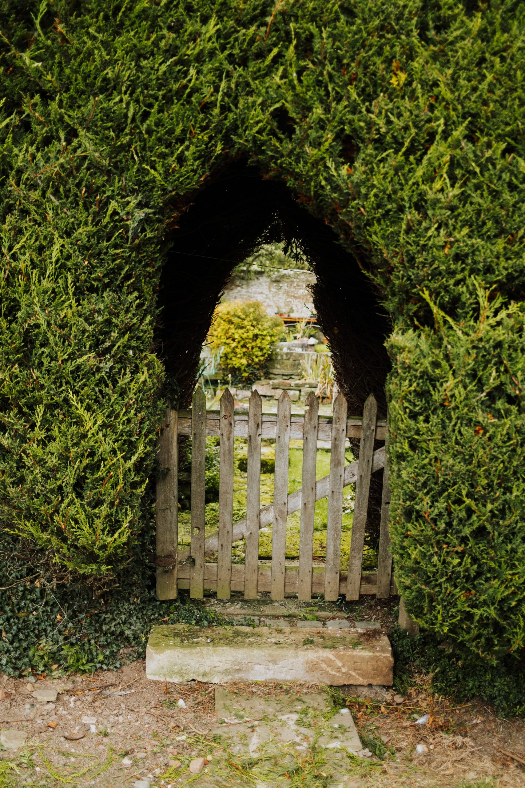 A picturesque wooden gate framed by a lush hedge, leading to a serene garden.