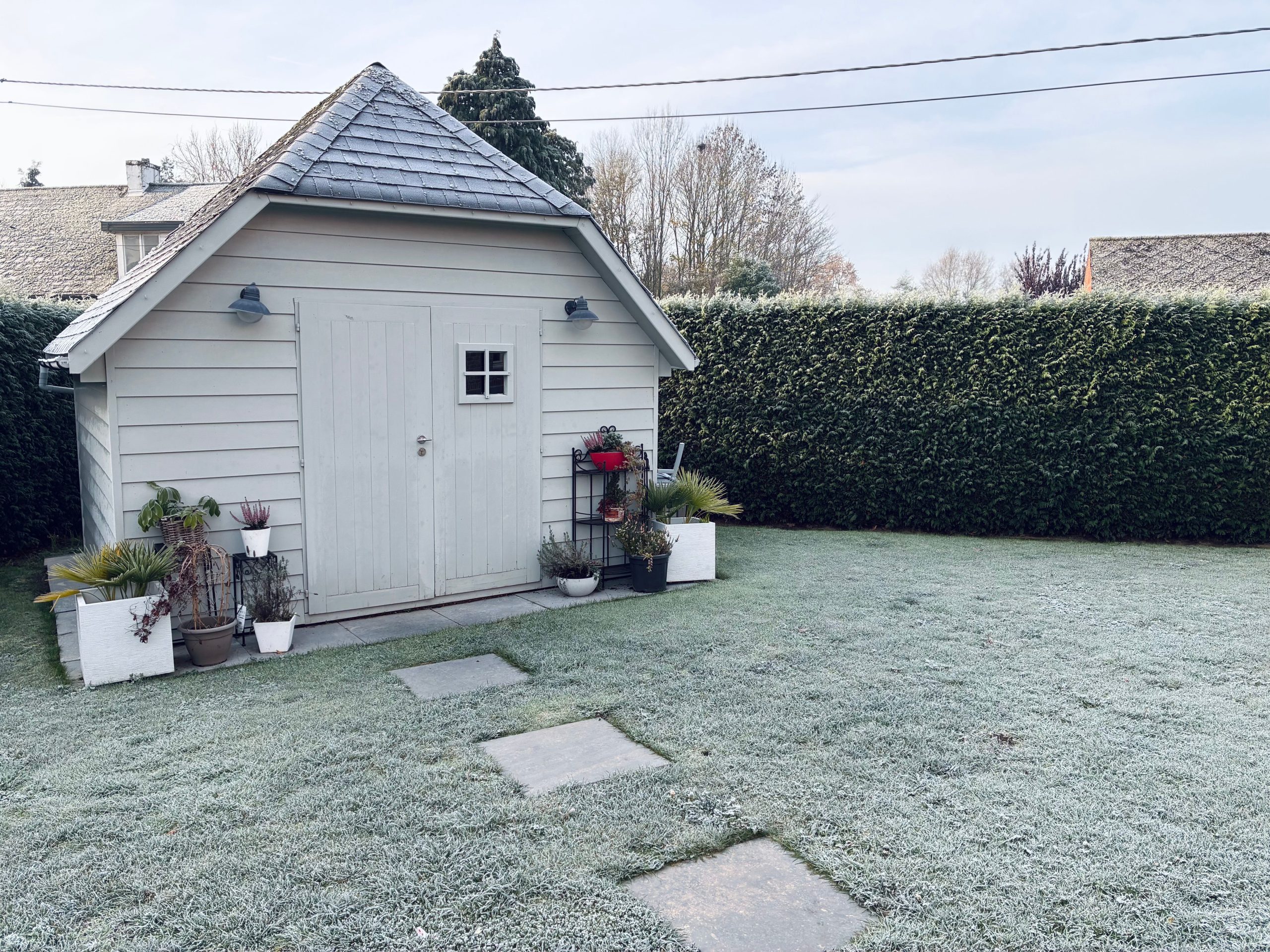 A quaint garden shed surrounded by frosty grass and plants in winter.