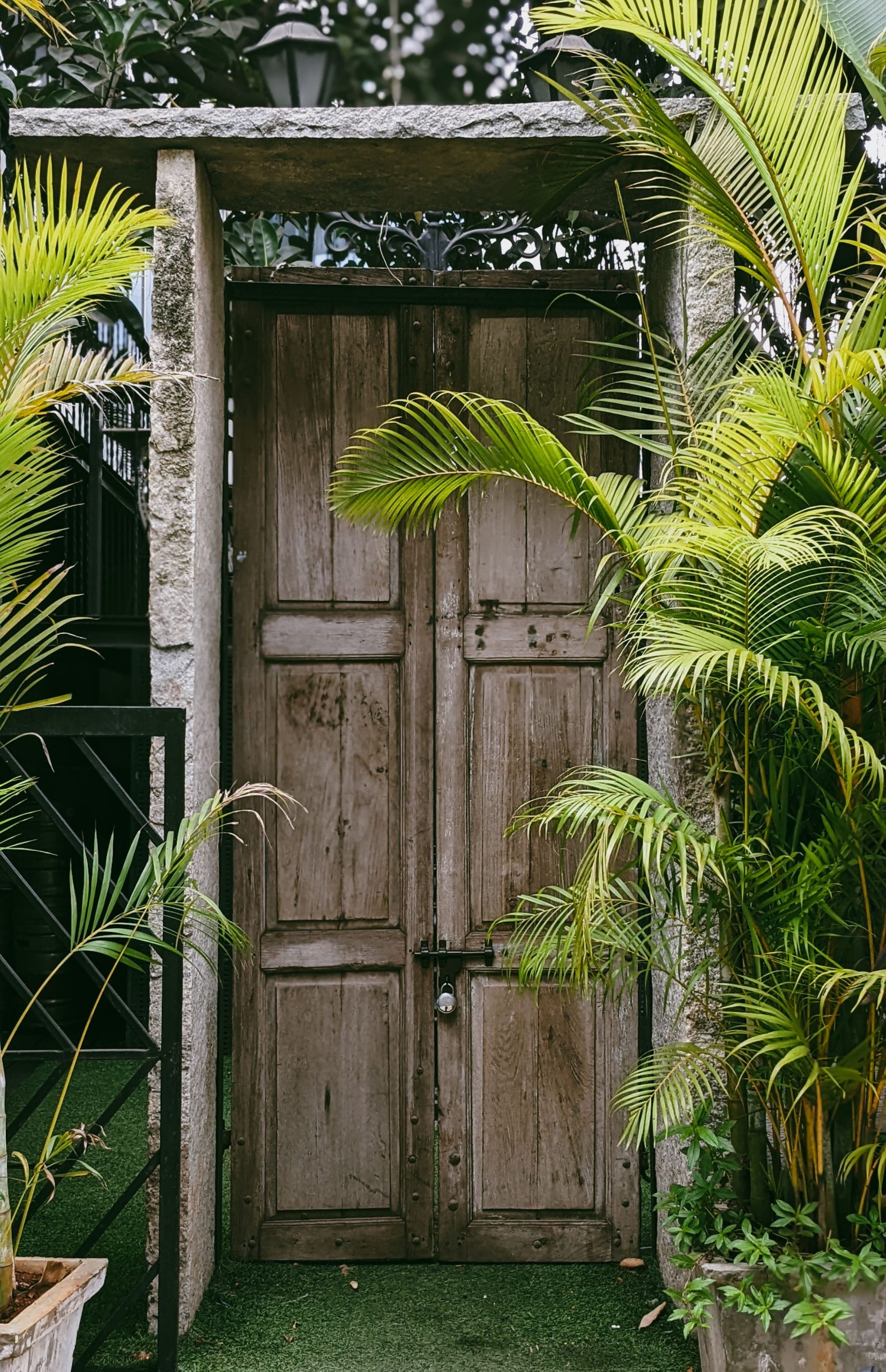 A rustic wooden door framed by lush tropical plants creating a natural entrance aesthetic.