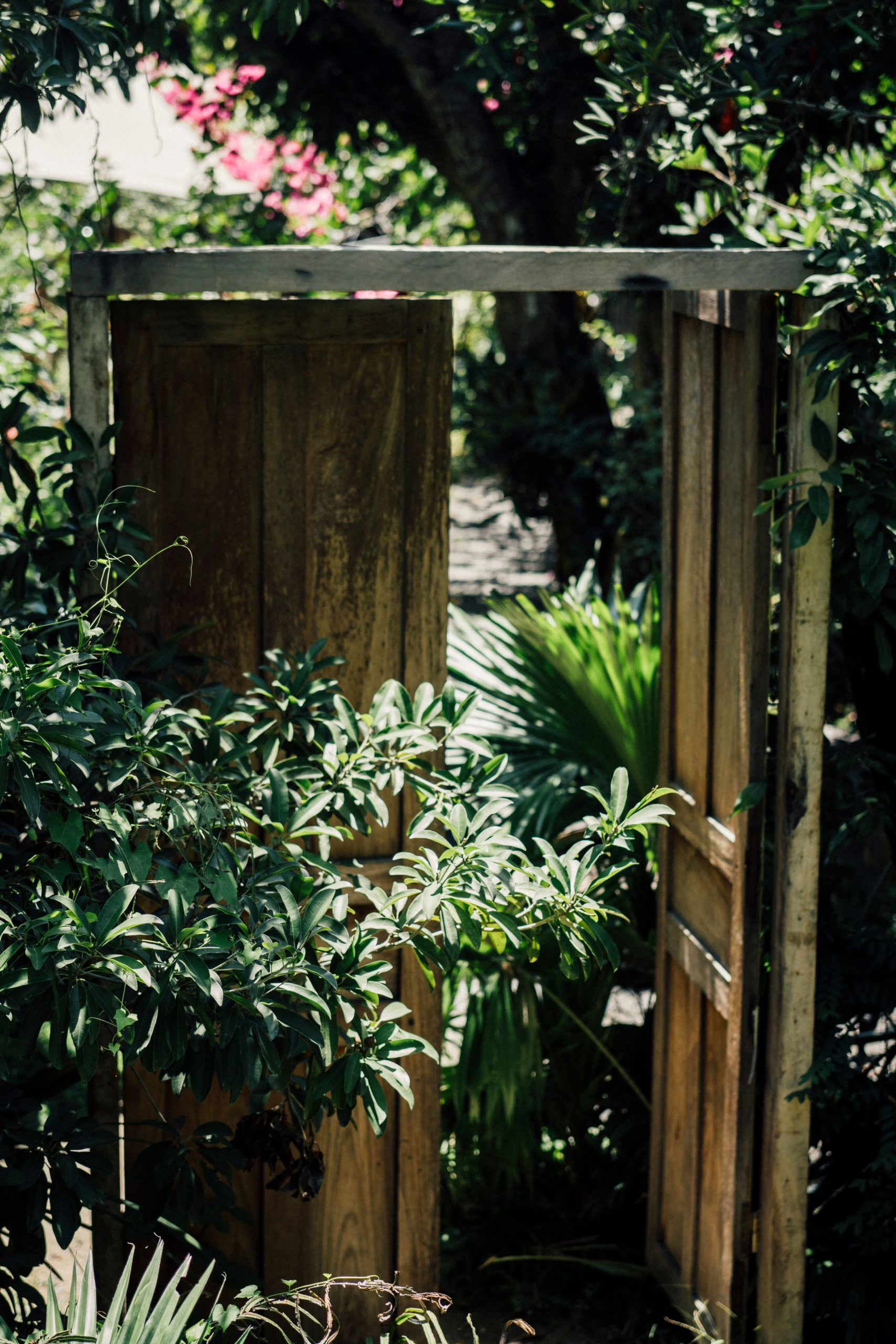 A rustic wooden doorway amidst a lush garden filled with vibrant foliage and natural light.