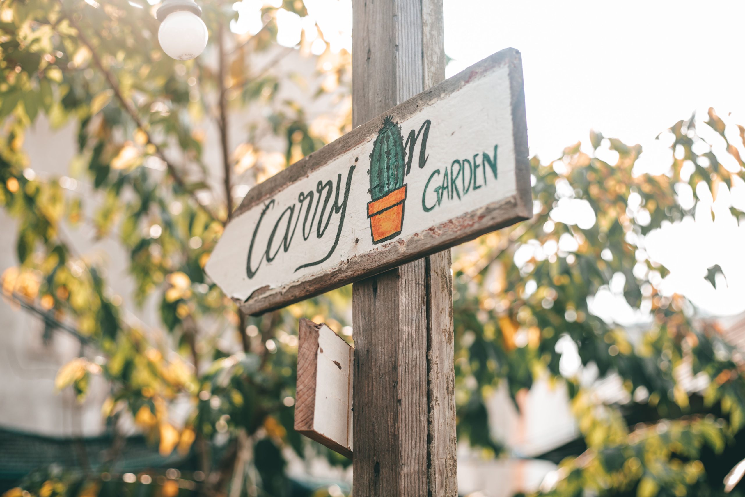 A rustic wooden sign in a sunny garden, creating a warm and inviting atmosphere.
