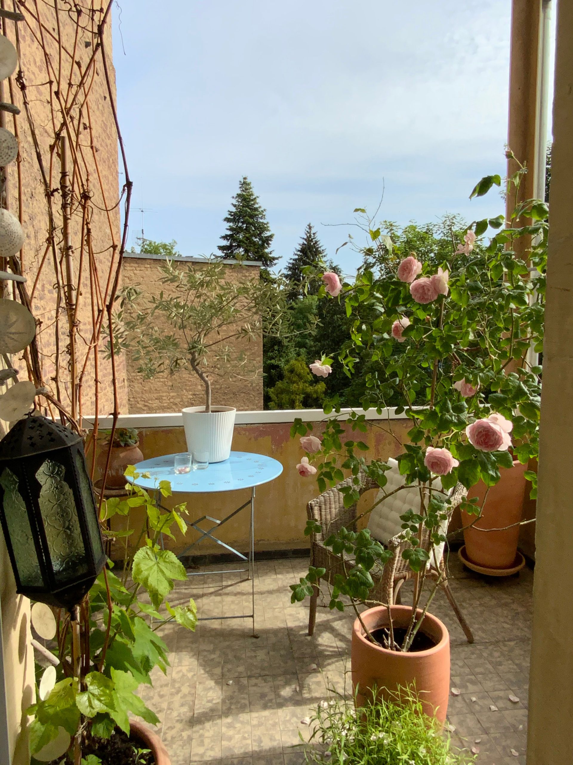A serene balcony scene featuring flowers, plants, and outdoor furniture, perfect for relaxation.