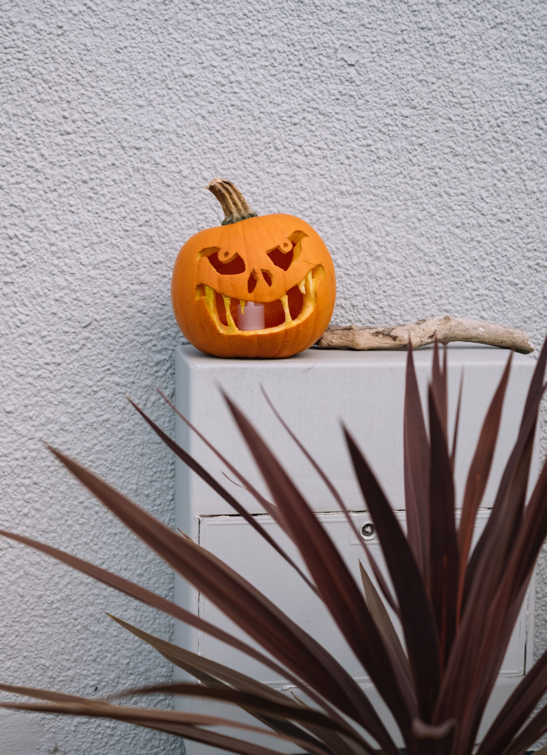 A spooky carved pumpkin with sharp teeth decorates an outdoor setting, perfect for Halloween.