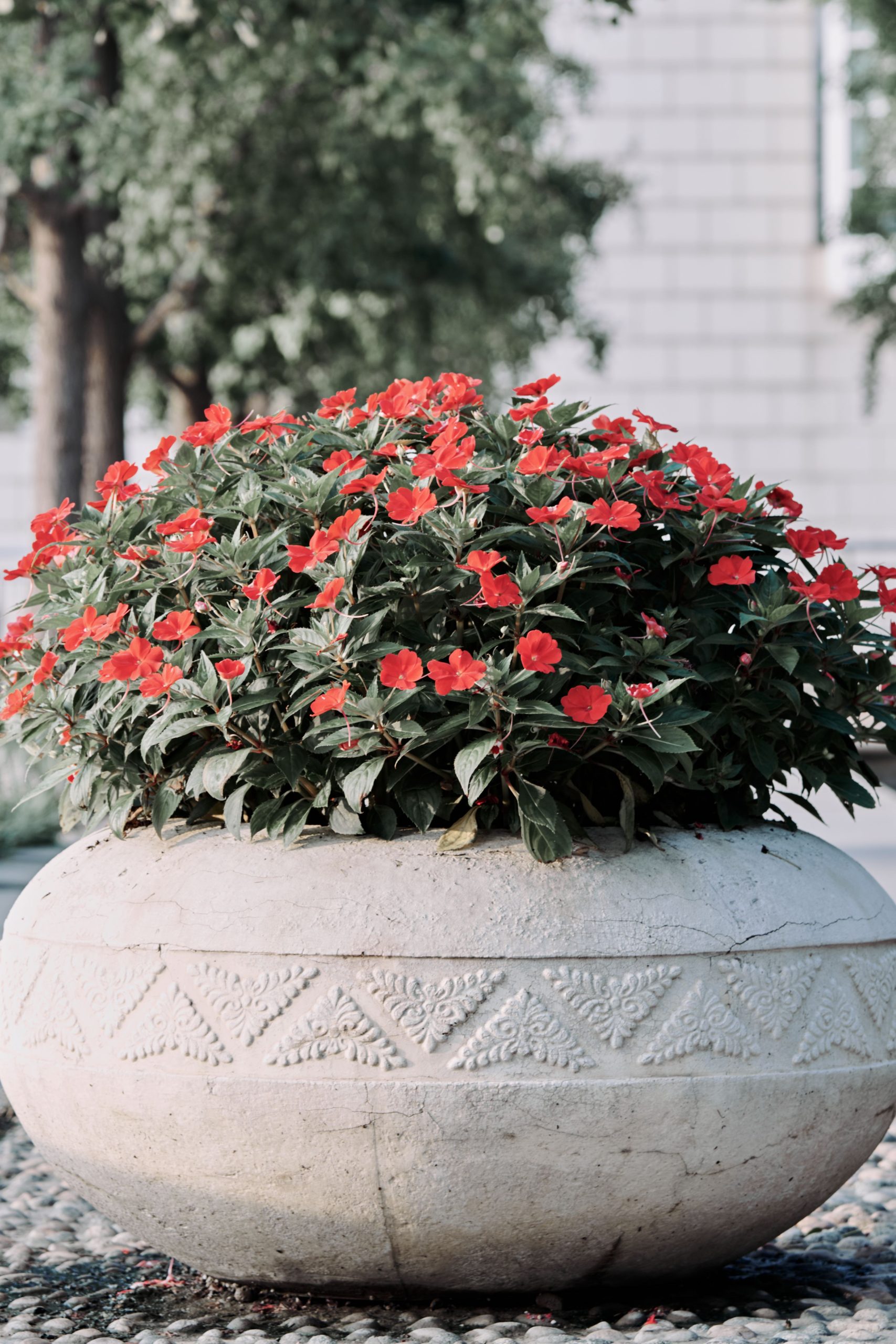 A stone planter with vivid red flowers in a garden setting, radiating summer vibes.