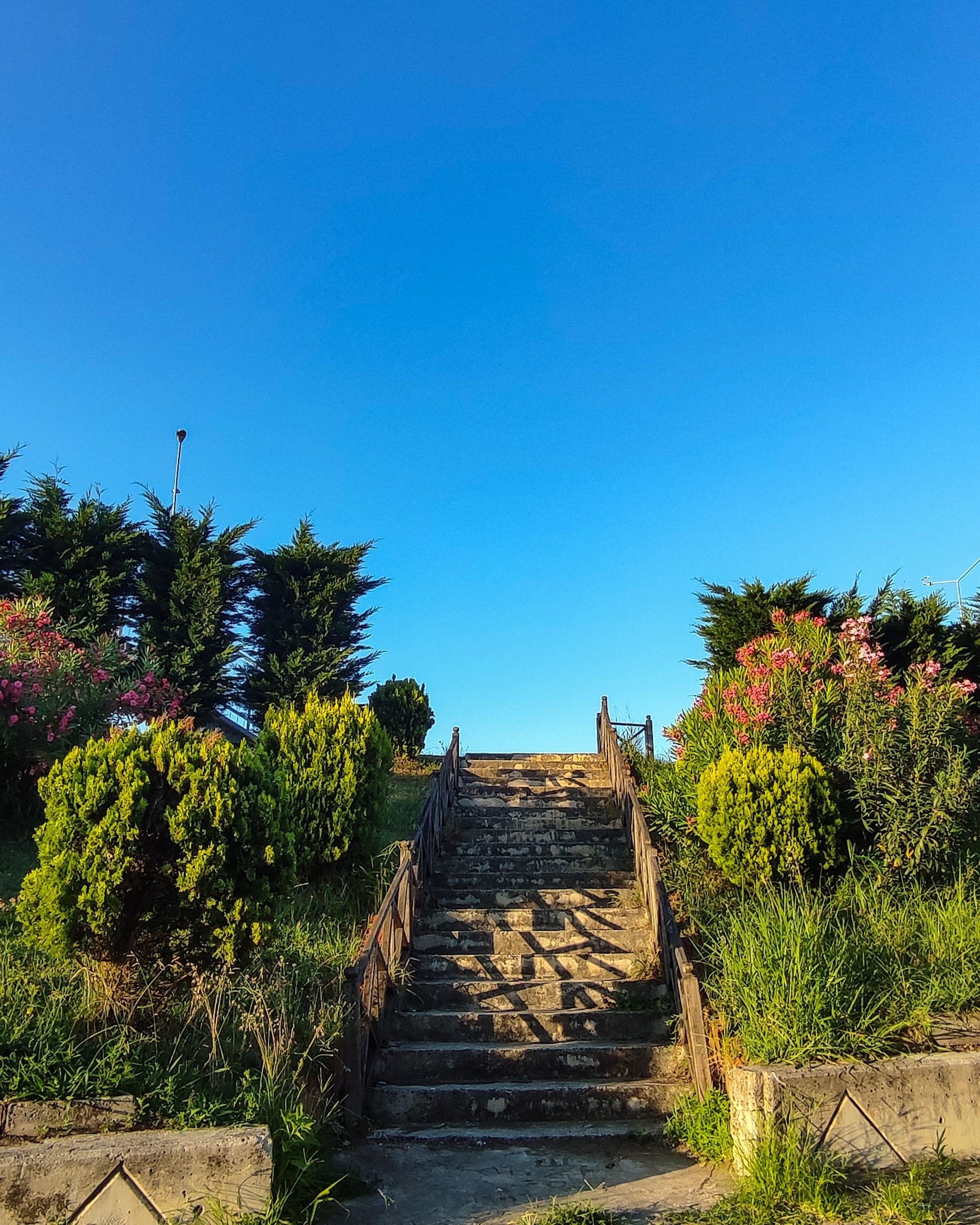 A stone staircase leading through a vibrant summer garden under a clear blue sky.