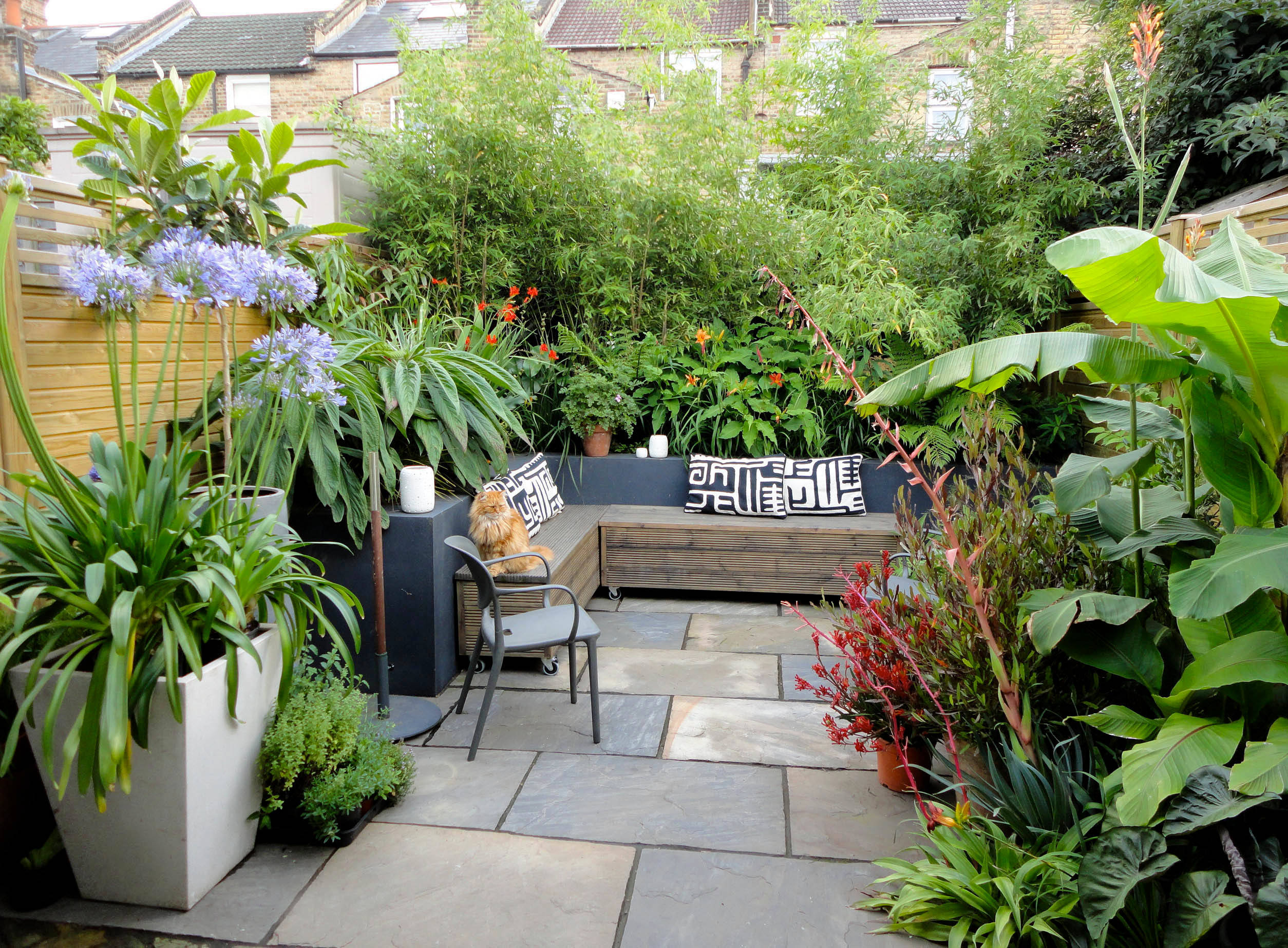 A Tiny Terrace Garden Gets a Lush Makeover