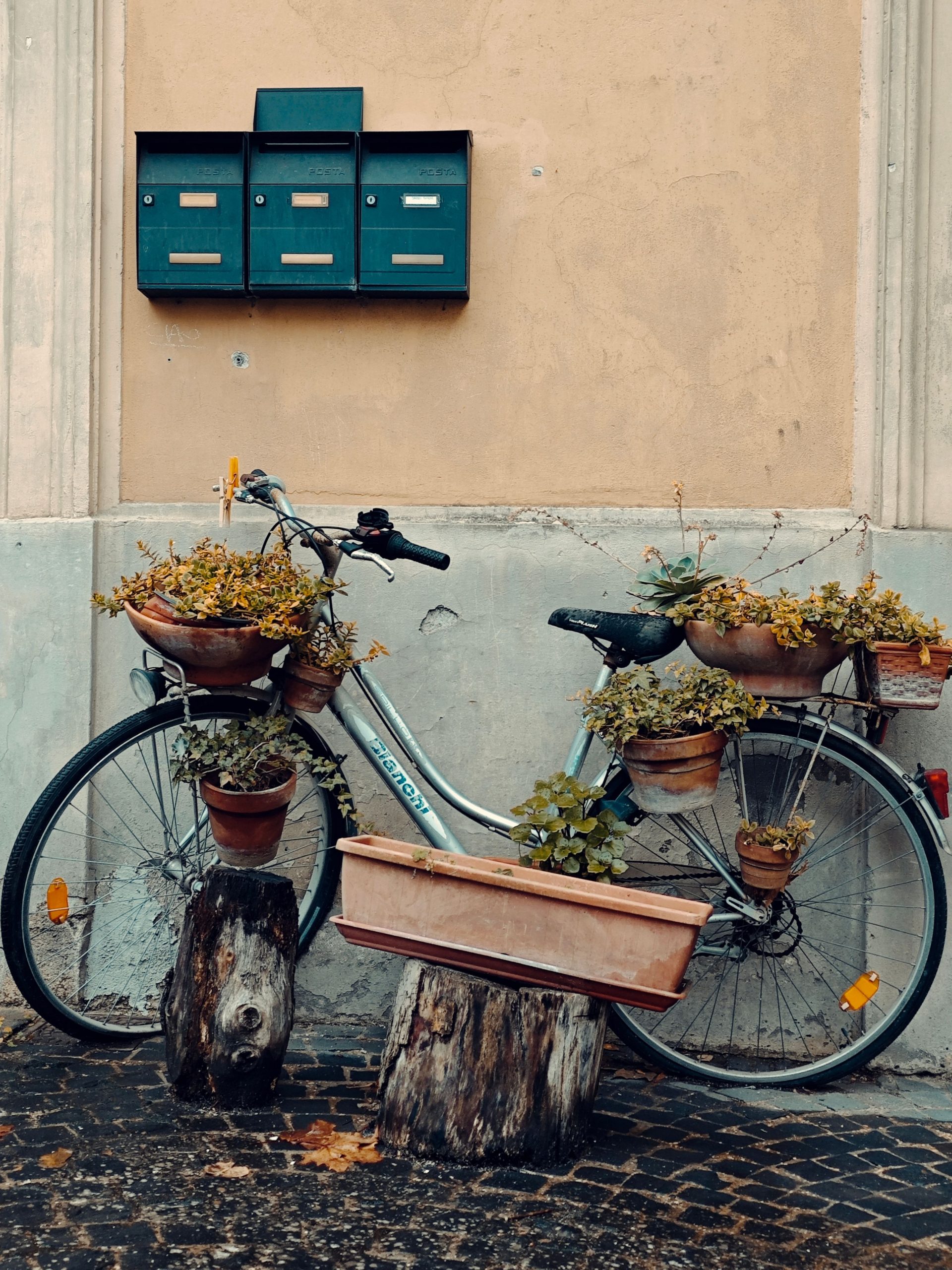 A vintage bicycle adorned with potted plants against a rustic wall, showcasing a unique gardening style.