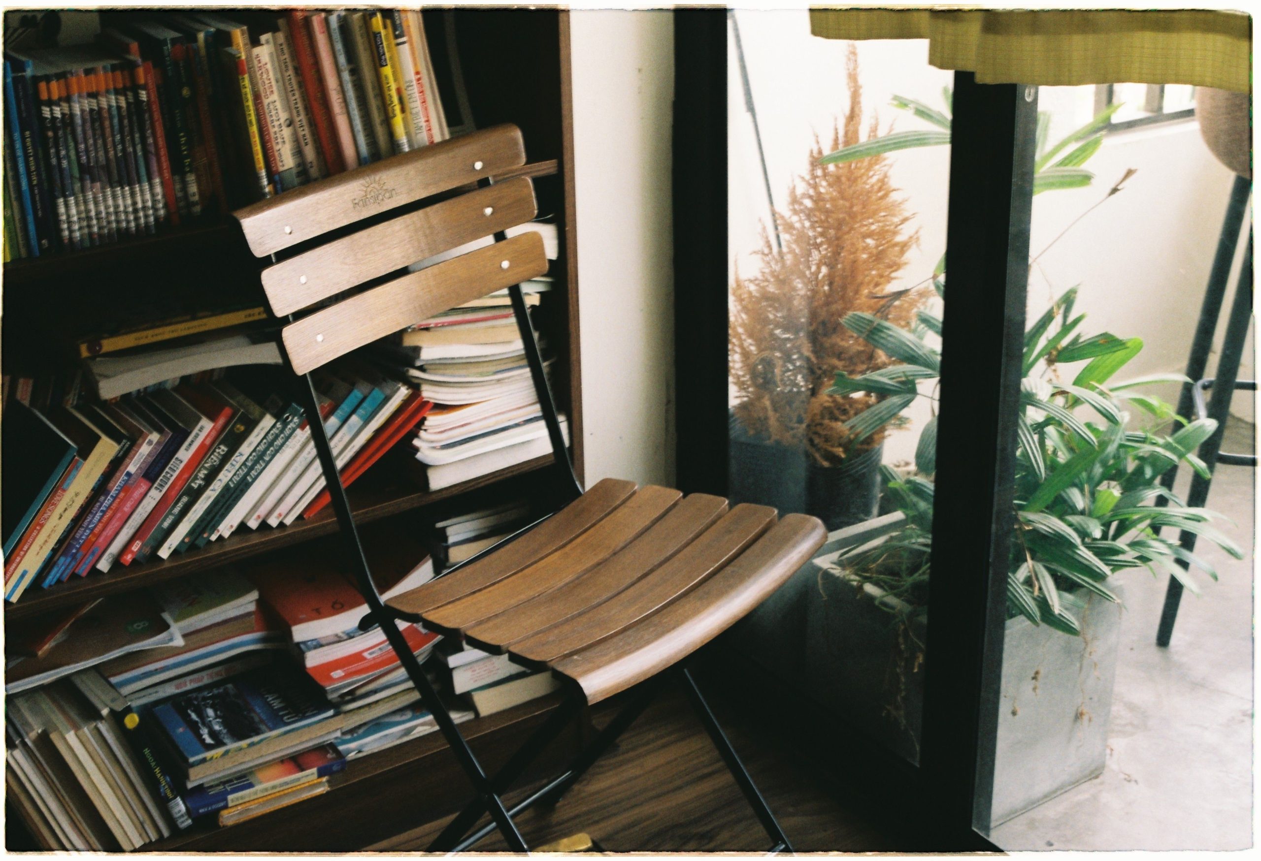 A warm, inviting space featuring a wooden chair, bookshelves, and indoor plants by a window.