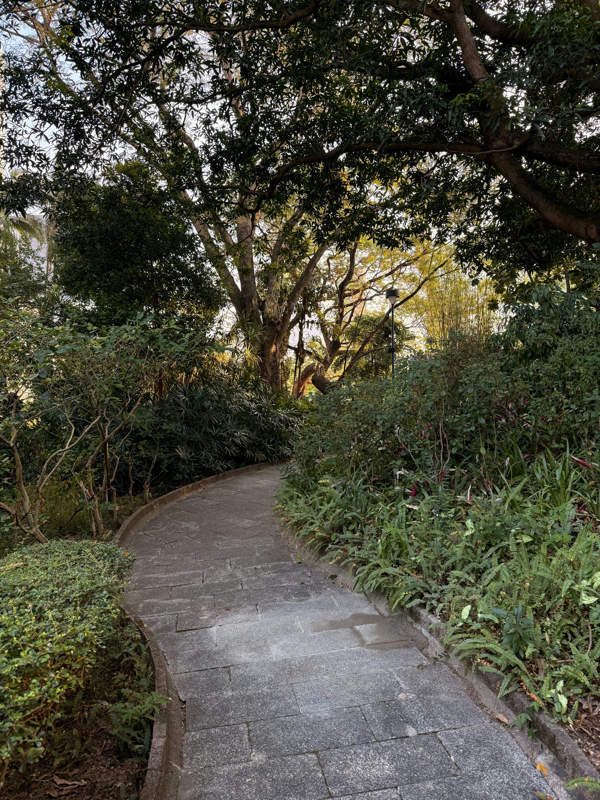 A winding stone path through a lush green garden.
