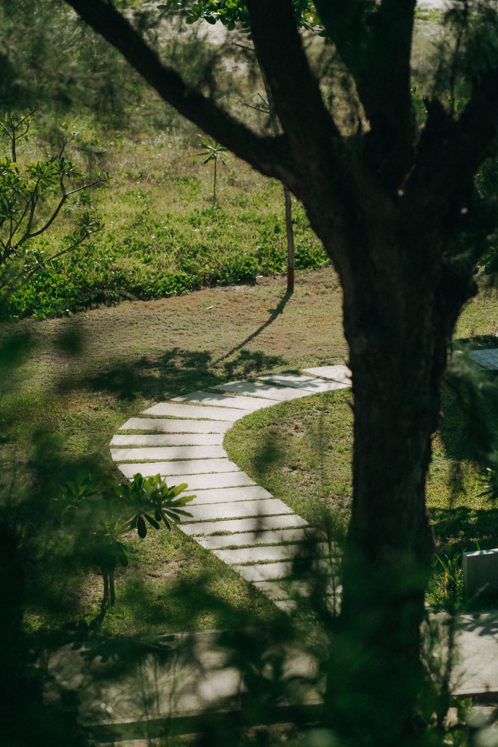 A winding stone pathway through a tranquil garden, surrounded by trees and lush greenery under soft daylight.