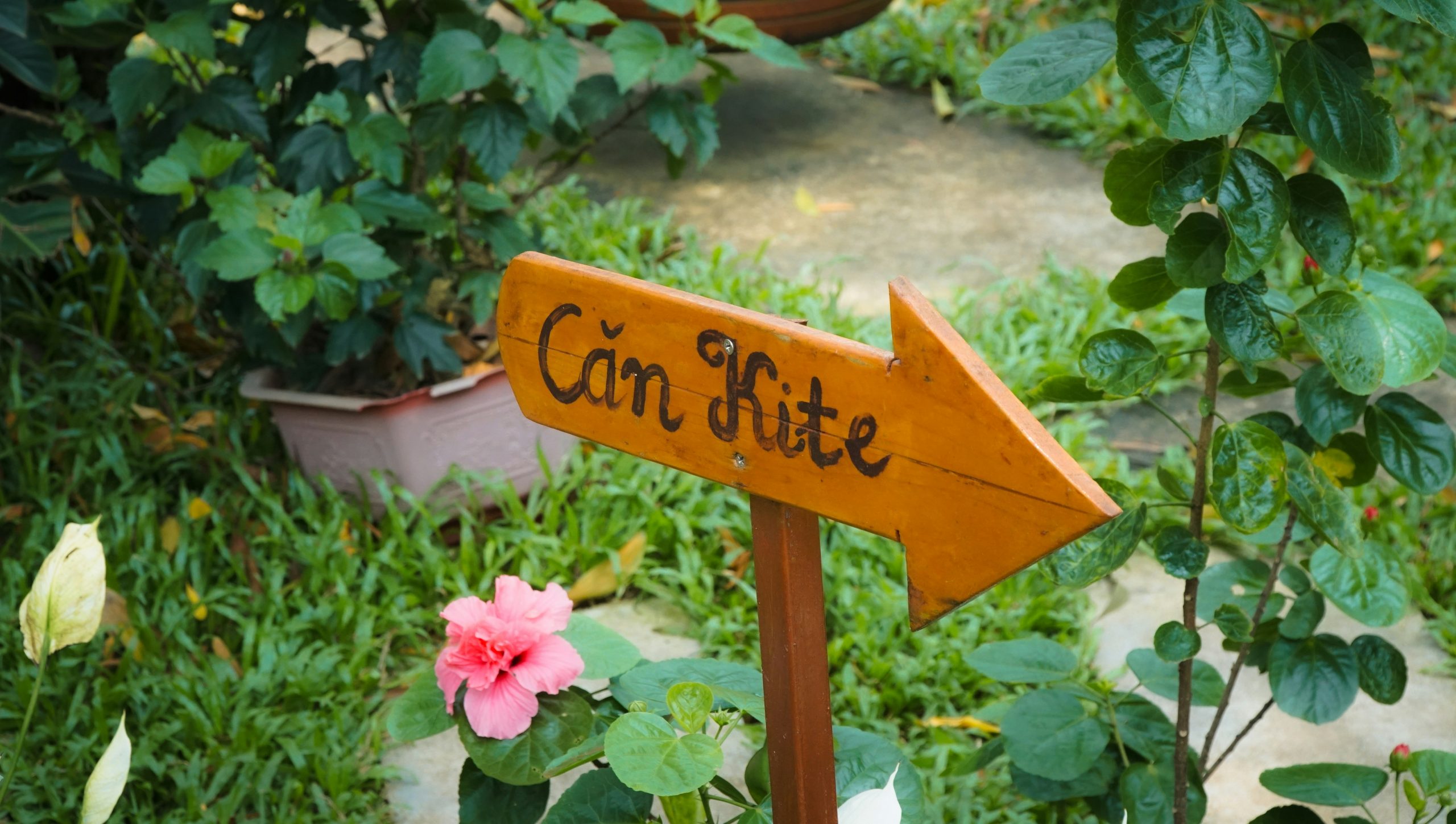 a wooden sign that says can't bite in a garden