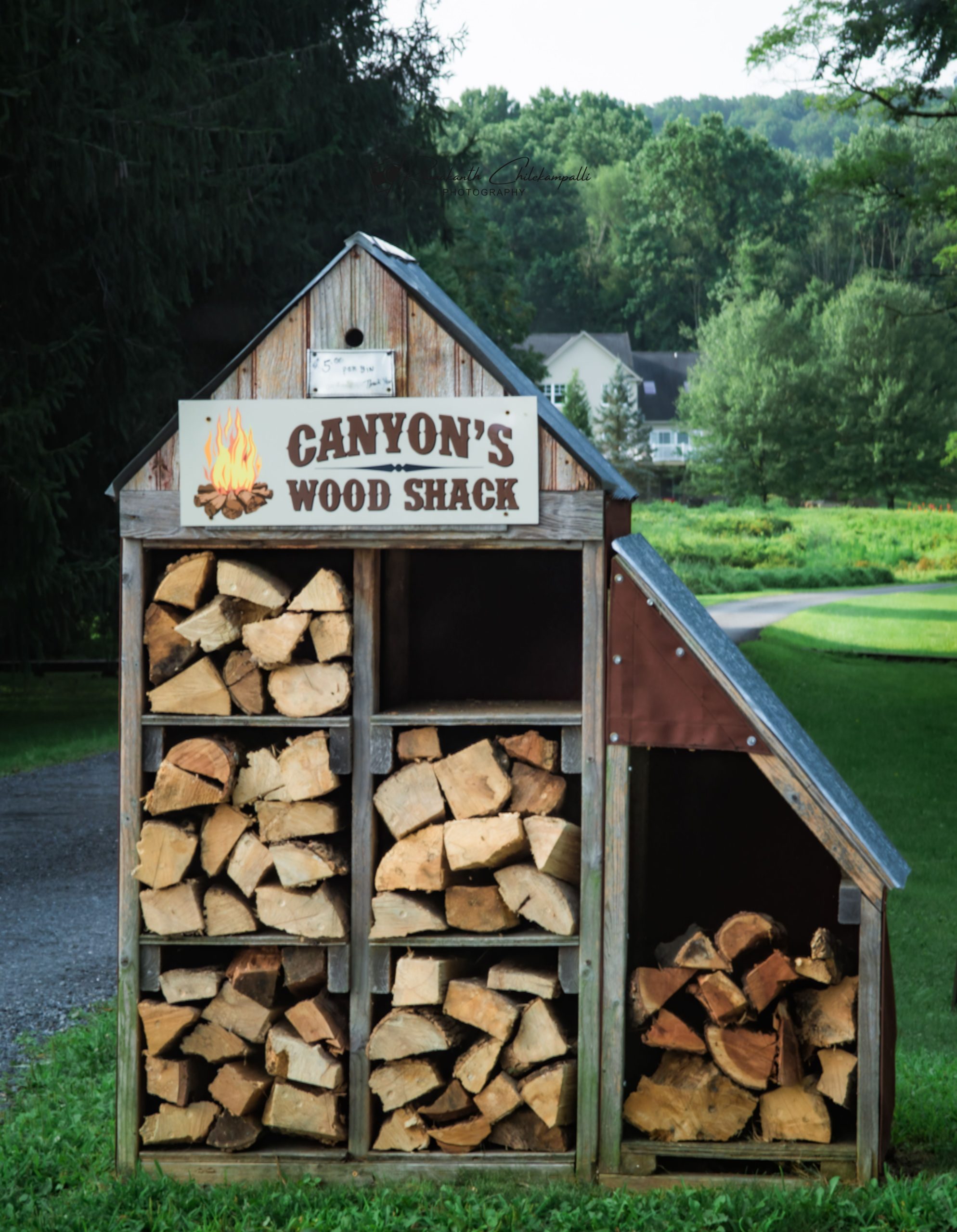 A wooden structure filled with stacked firewood in a lush outdoor setting.