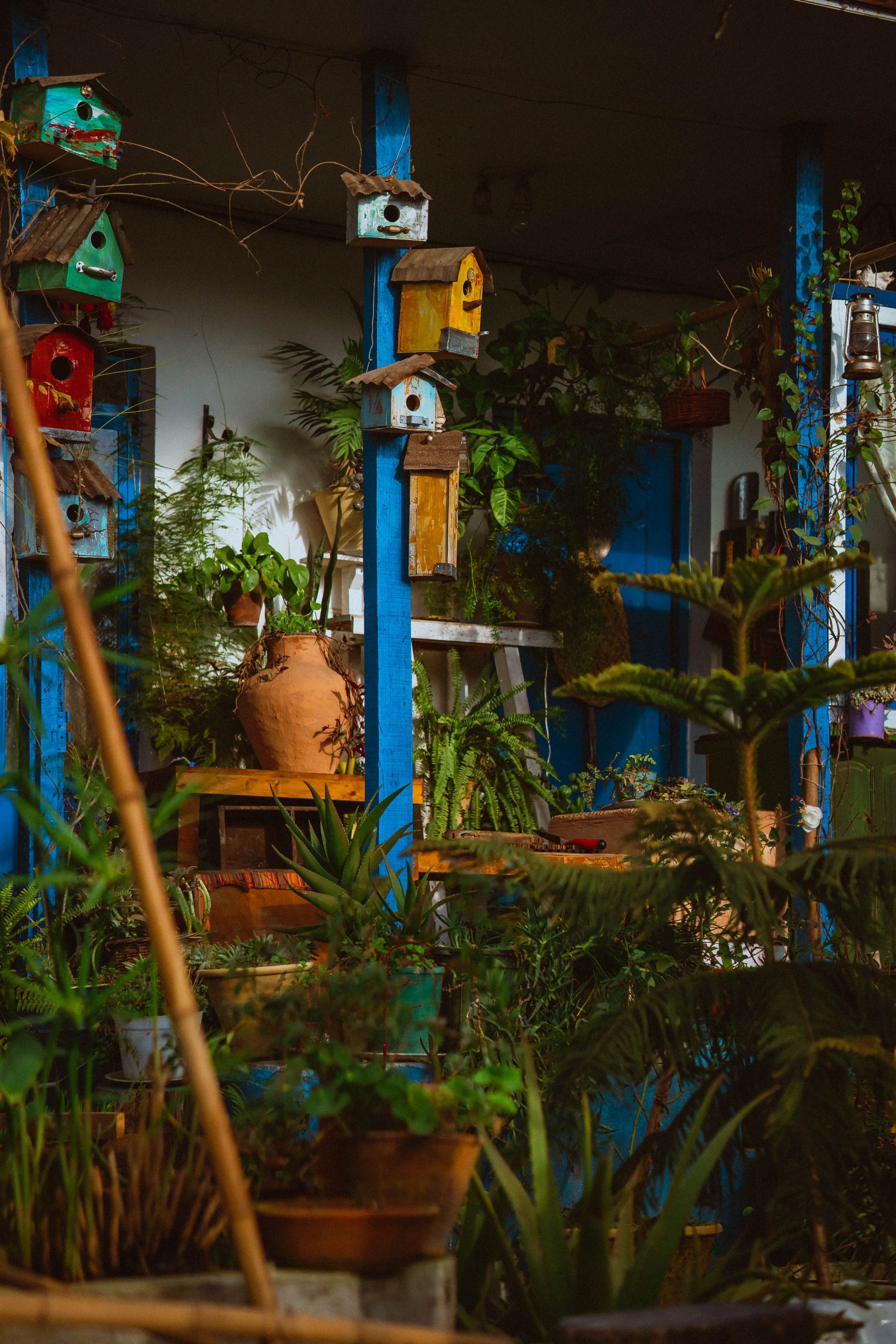 An inviting scene featuring colorful birdhouses and lush plants in a quaint garden corner.