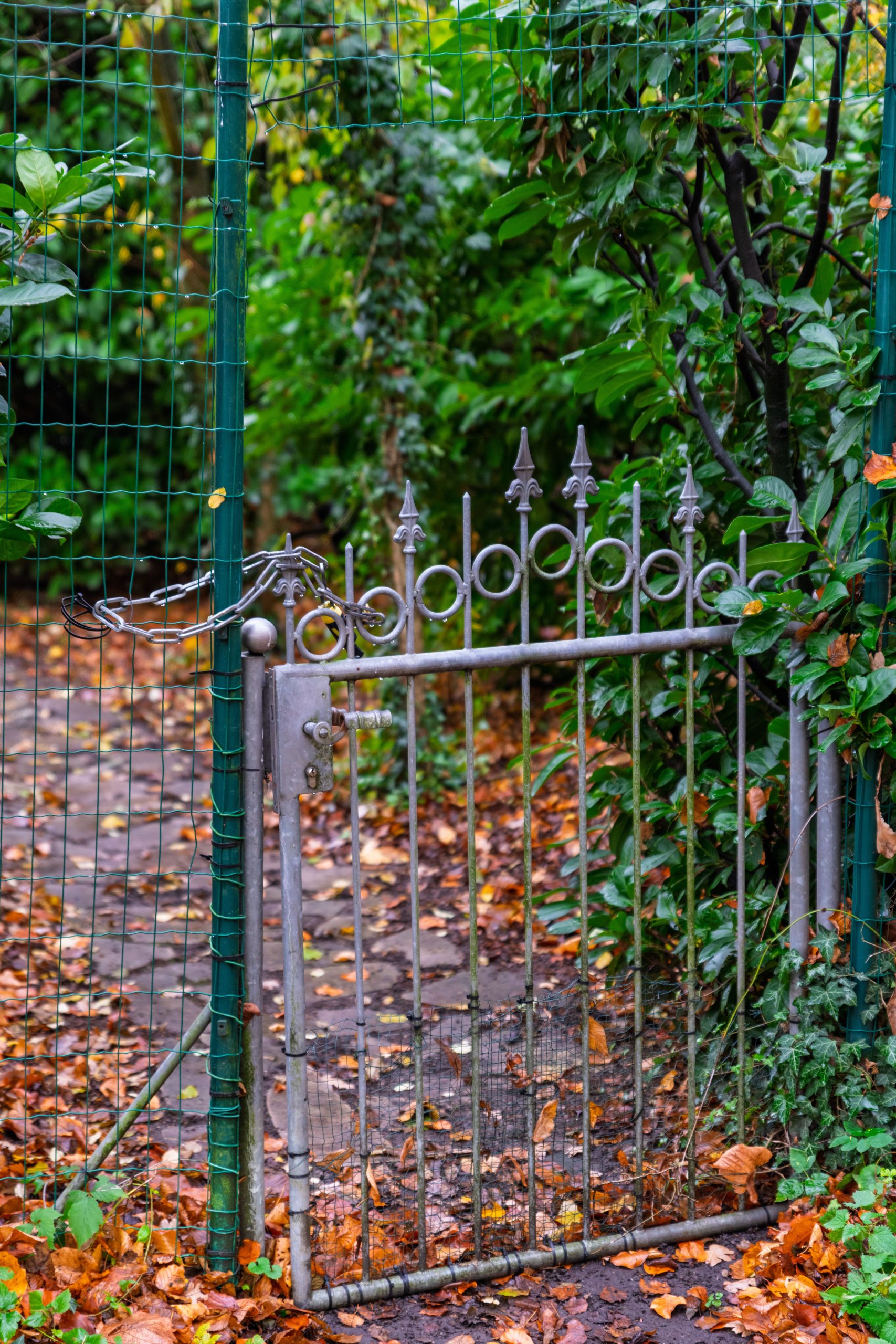 An ornamental iron gate amidst vibrant autumn foliage in a serene garden setting.