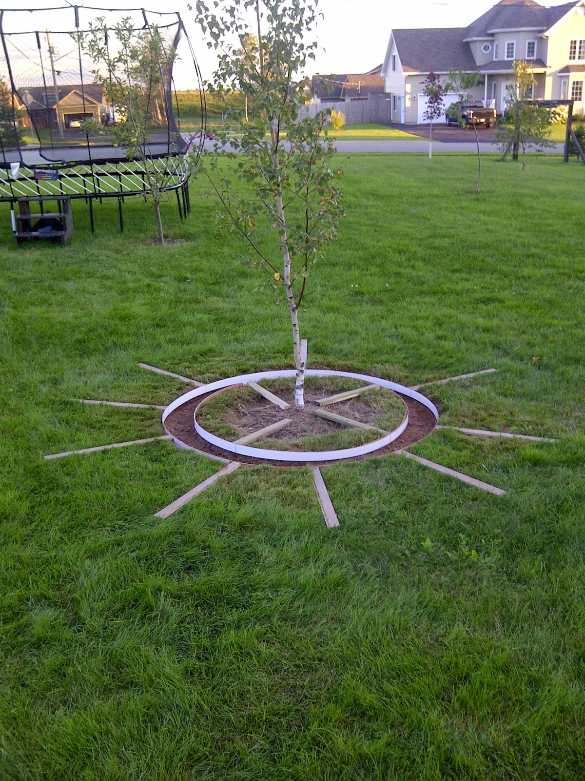 Another Day Another Project: Concrete Borders for Trees