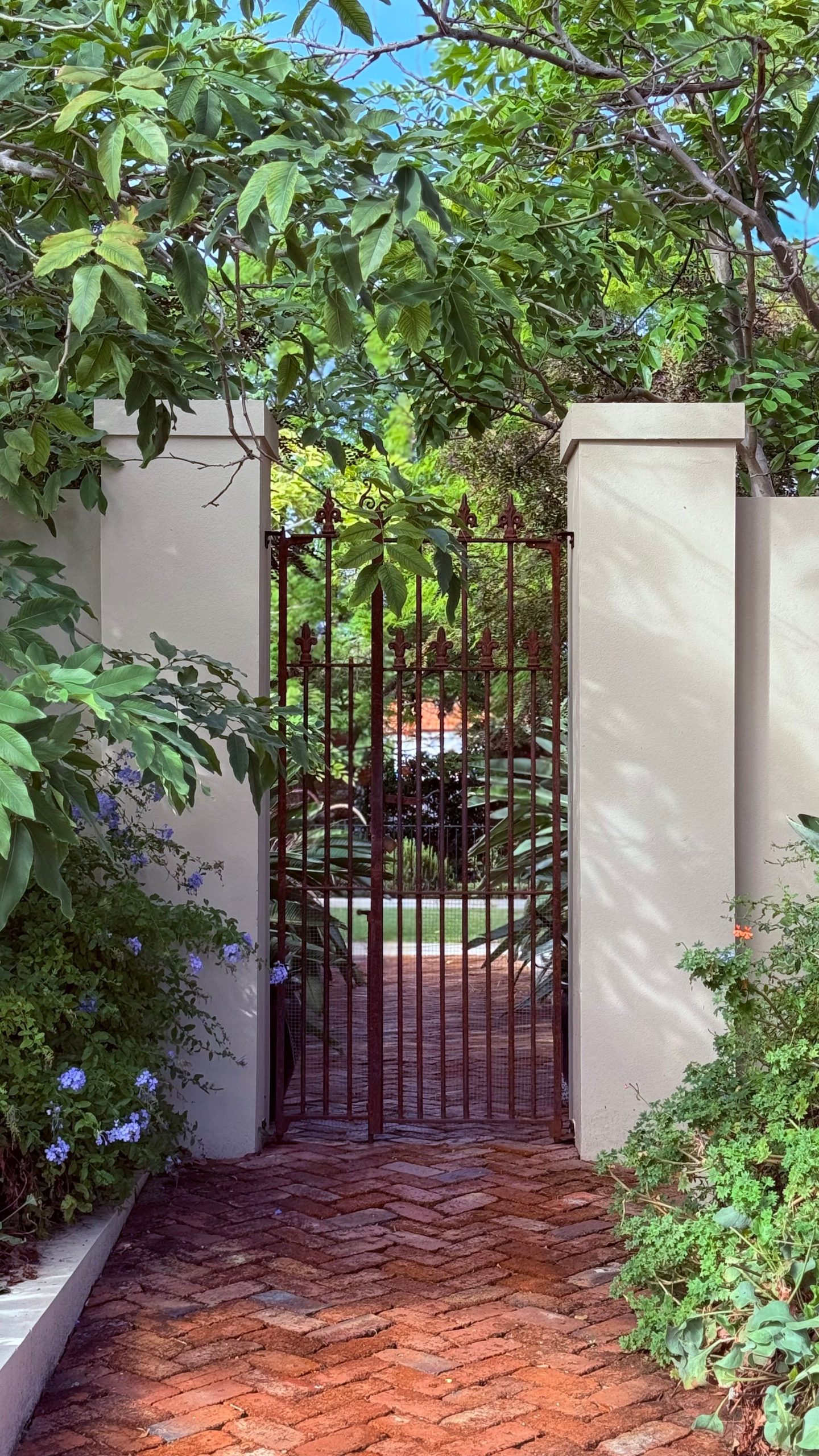 Appealing garden entrance with an iron gate surrounded by vibrant greenery and brick pathway.