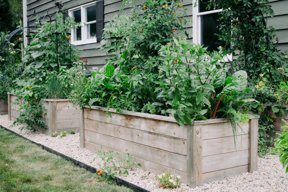 Are Raised Beds Worth the Cost? • Gardenary