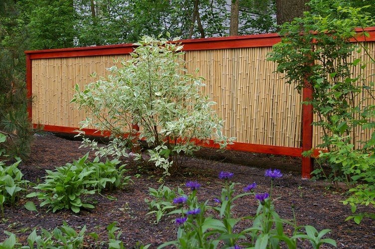 Bamboo Fences - Landscaping Network