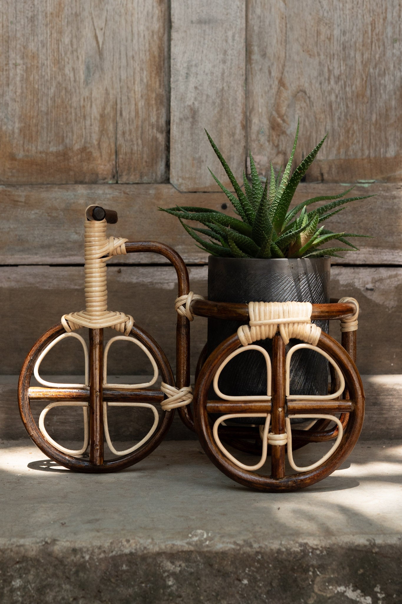 Bamboo Tricycle Bicycle Tricycle Planter