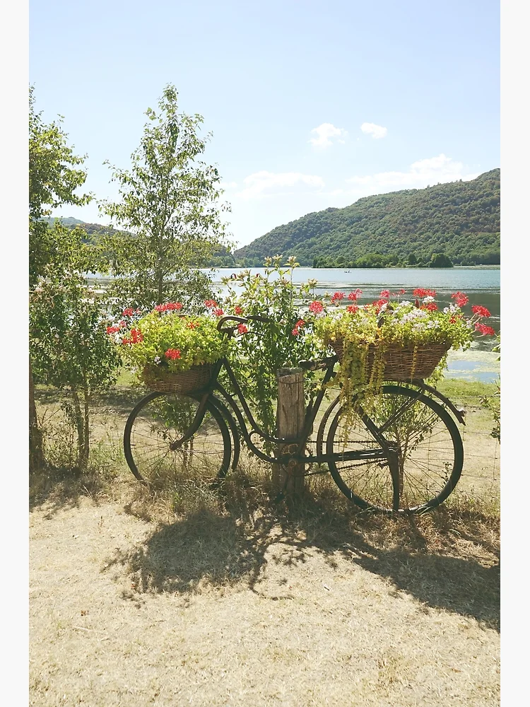 Bicycle Planter Antique Bicycle Basket Antique Iron Outdoor Flower Pot Garden Metal Bicycle Planter Bike