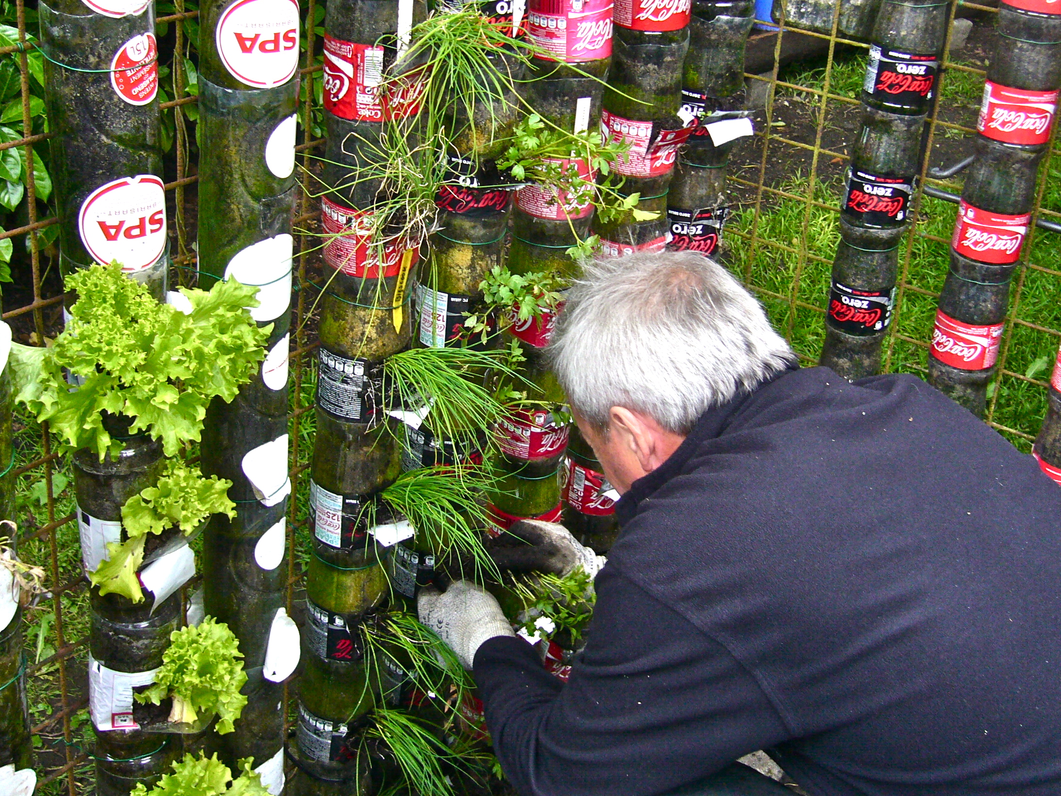 Bottle towers for fresh food production at home (Willem VAN COTTHEM) – DESERTIFICATION