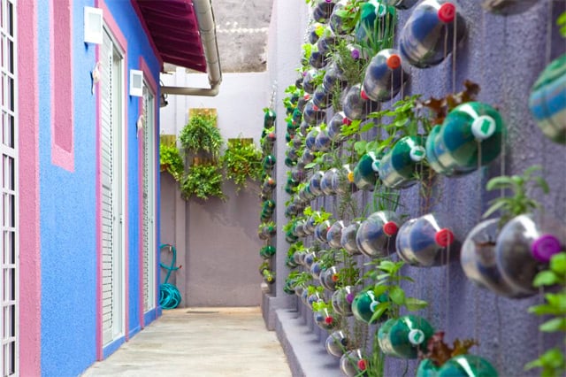 Brazil Vertical Garden Made From Recycled Bottles