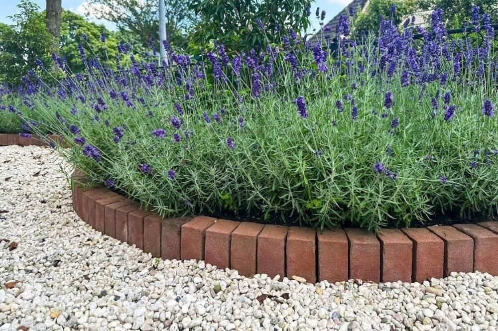 Brick Garden Edging Ideas for Flower Beds, Walkways, and Lawns