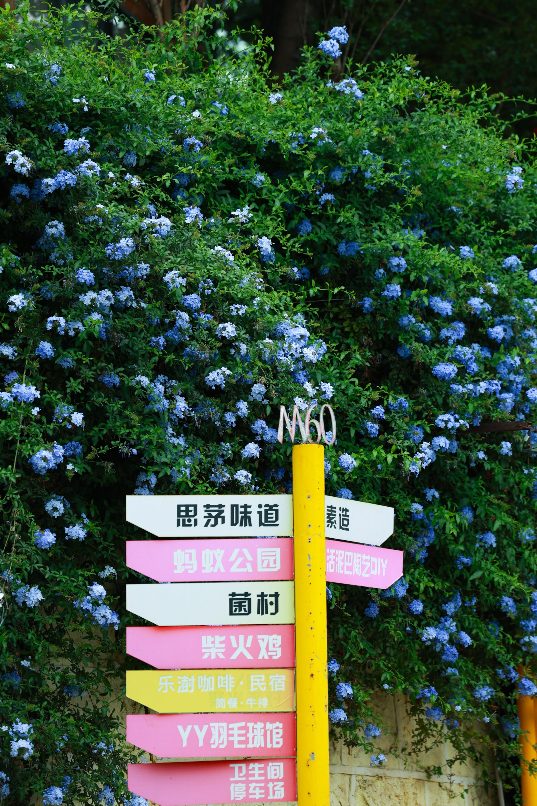 Bright signpost situated against lush greenery with blue floral accents, depicting directions.