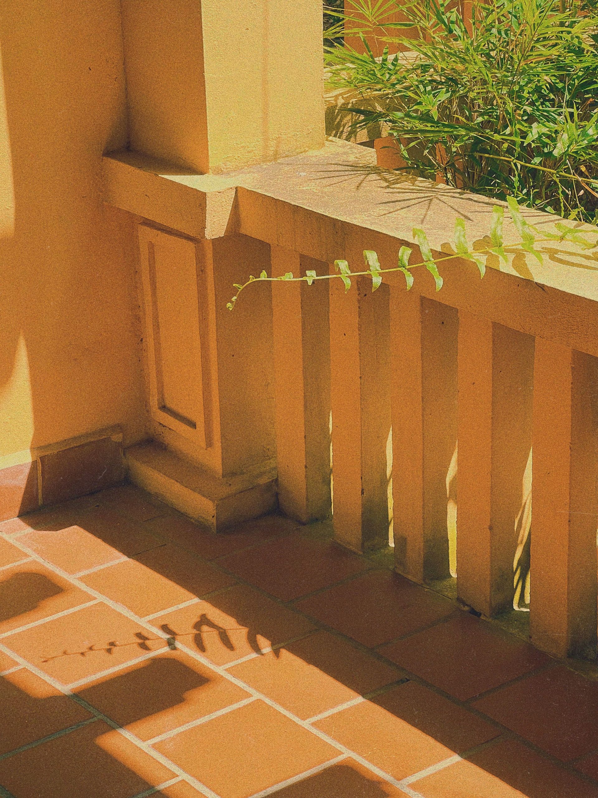 Bright sunlit terrace with shadows of leaves on terracotta tiles.