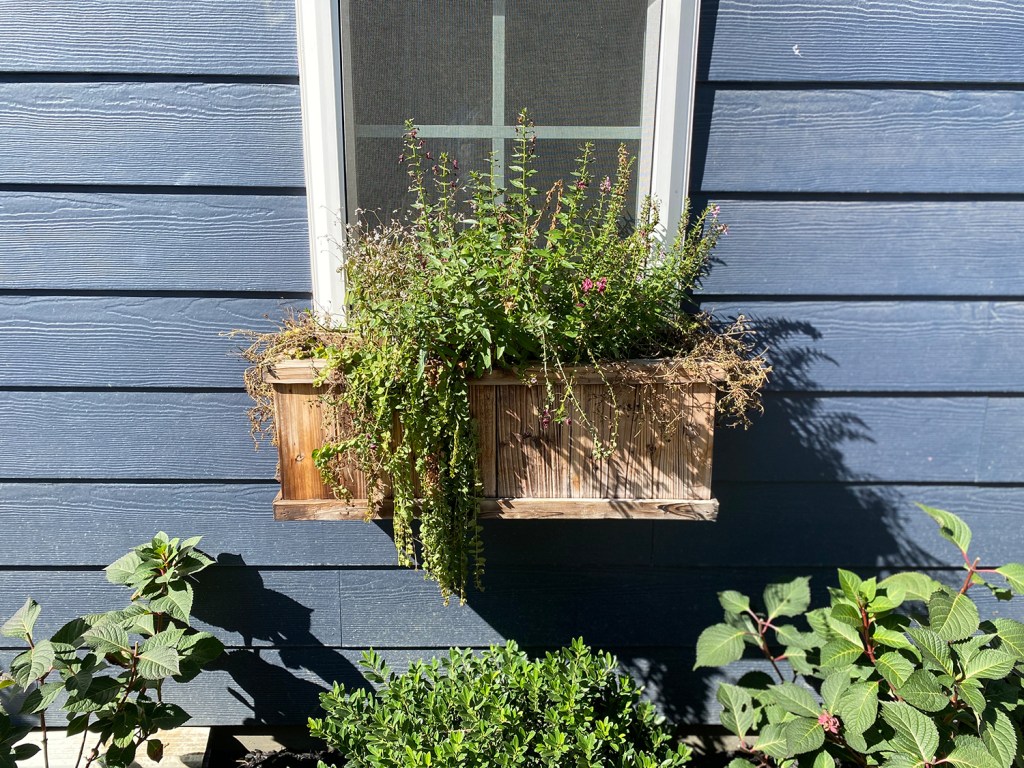Bring a Little Fall Decor Outside with a Simple Window Box - Shay Can Make