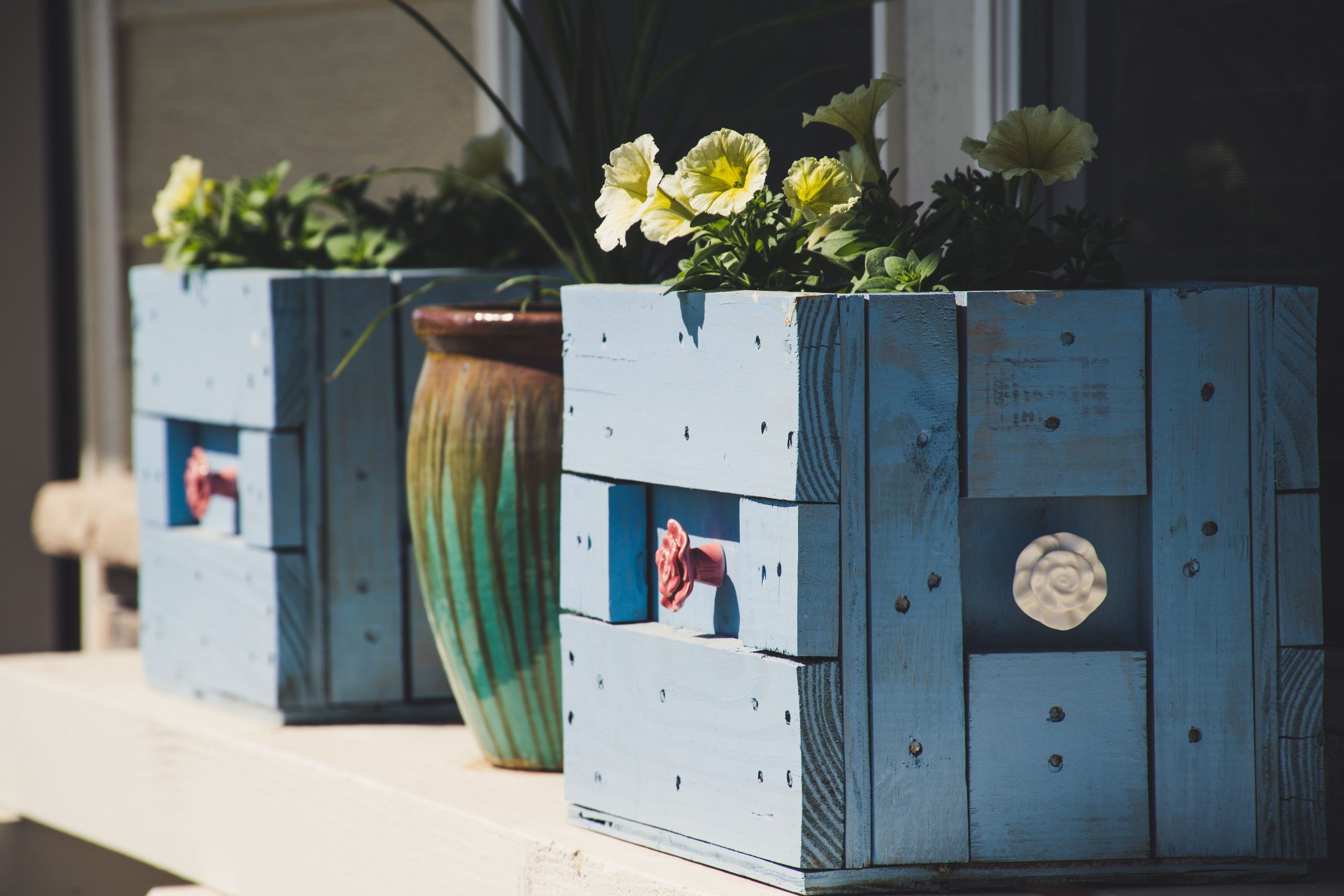 Charming blue wooden planter boxes filled with flowers on a sunlit porch, perfect for home decor inspiration.