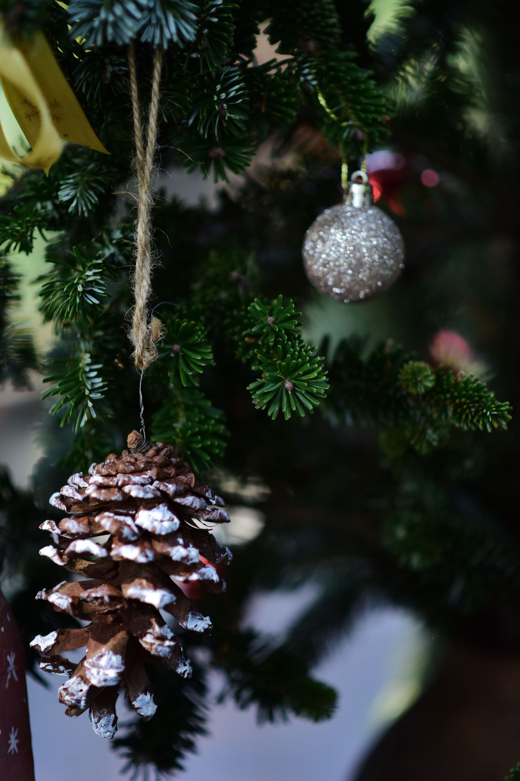 Close-up of a Christmas tree with a snowy pinecone and glittery bauble ornament.